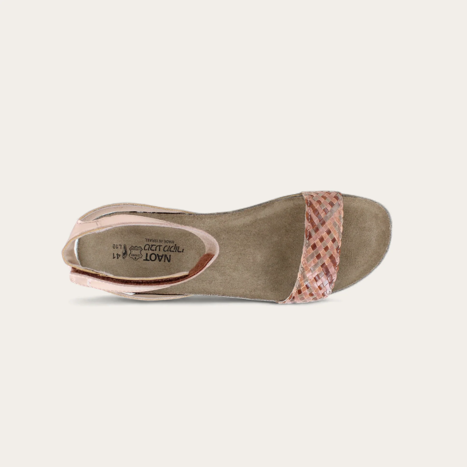 Abbie - Image 5