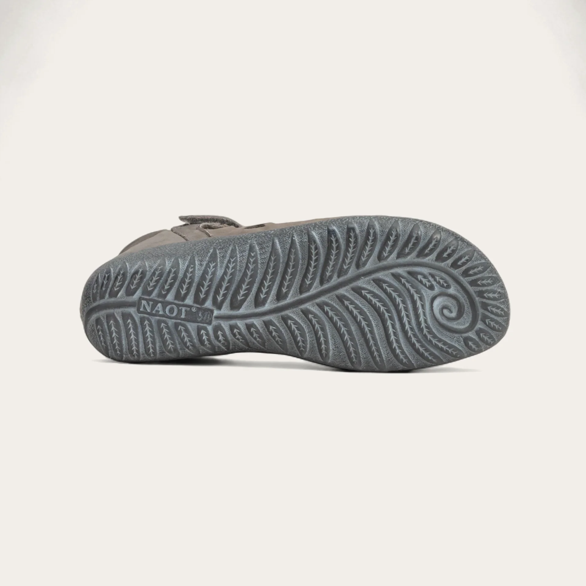 Agathis - Image 4