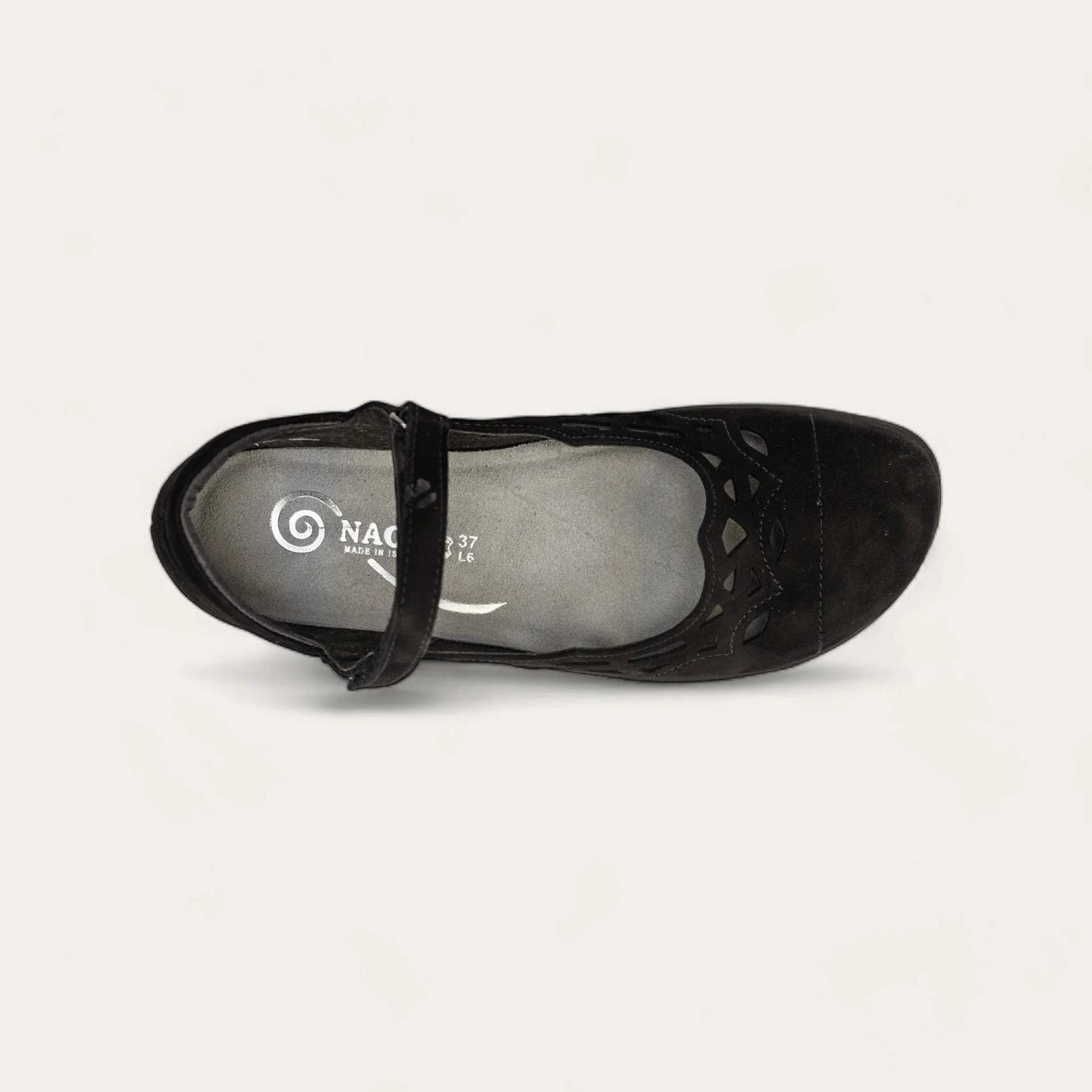 Agathis - Image 3