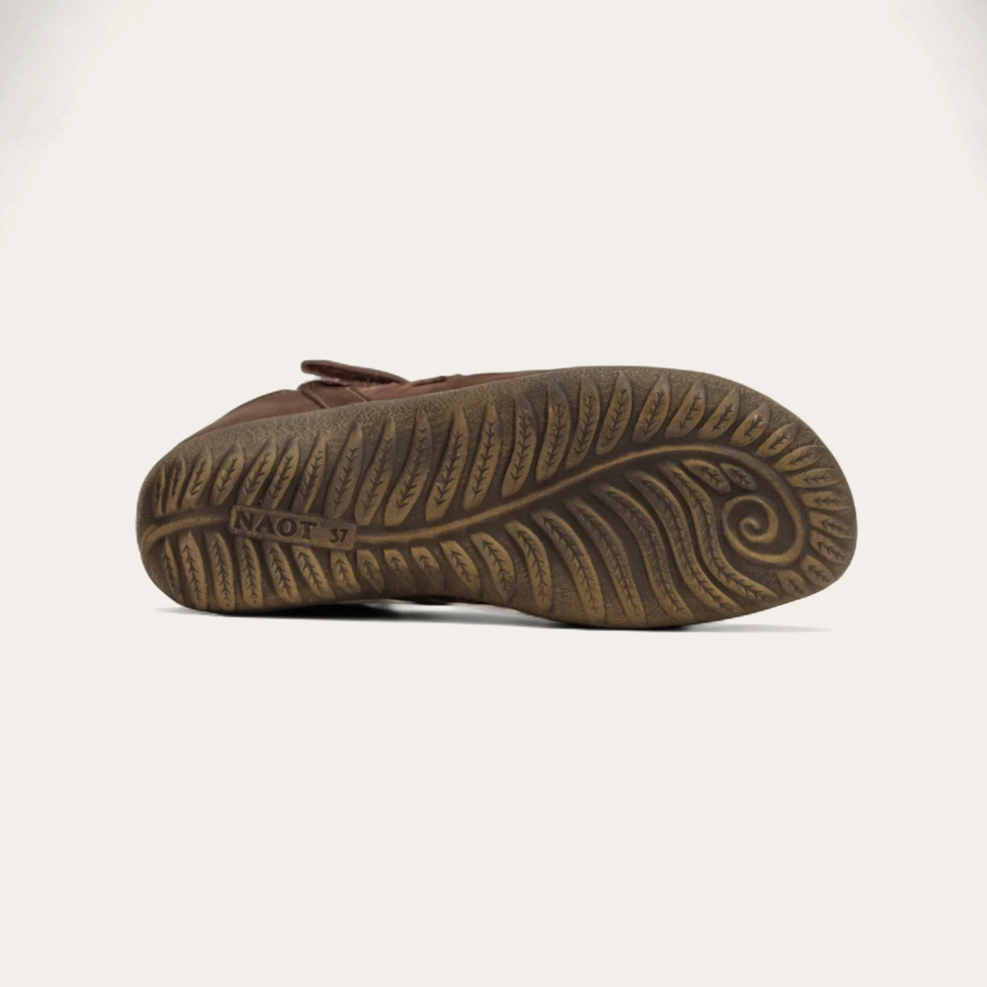 Agathis - Image 4