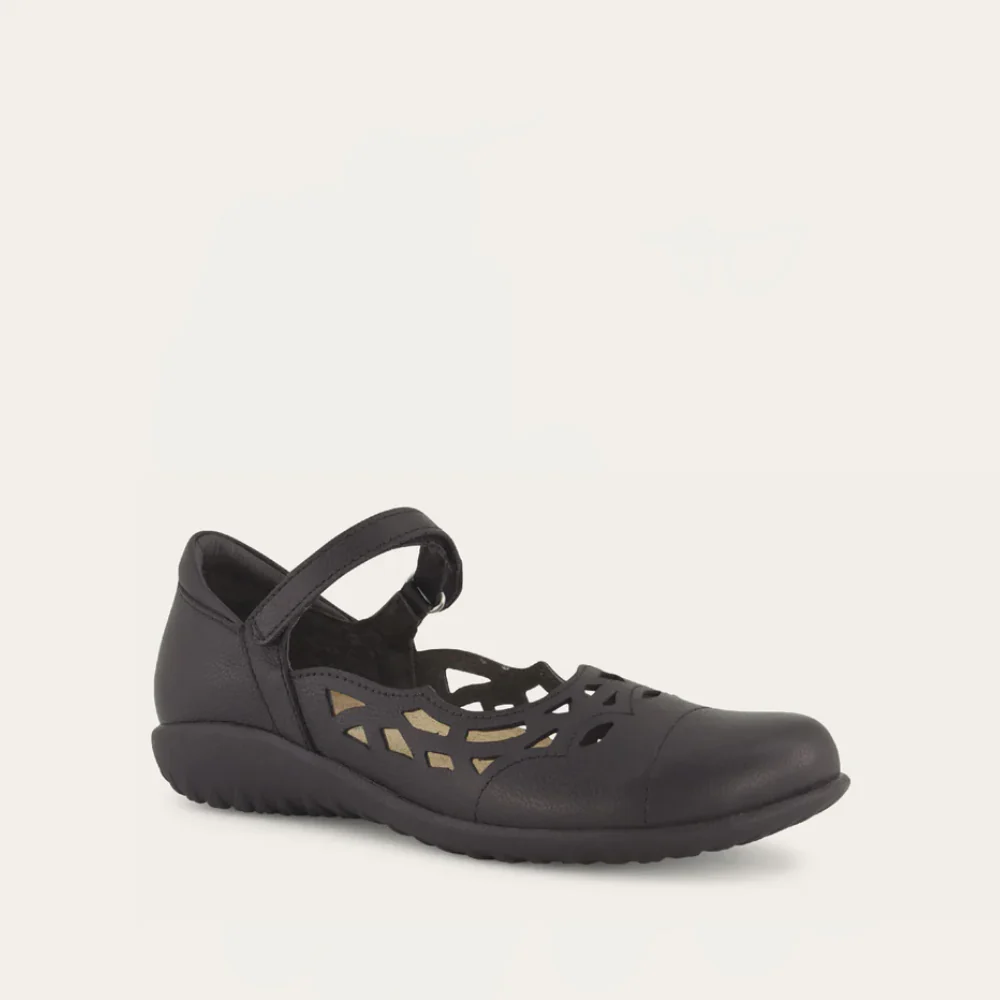 Agathis - Image 2