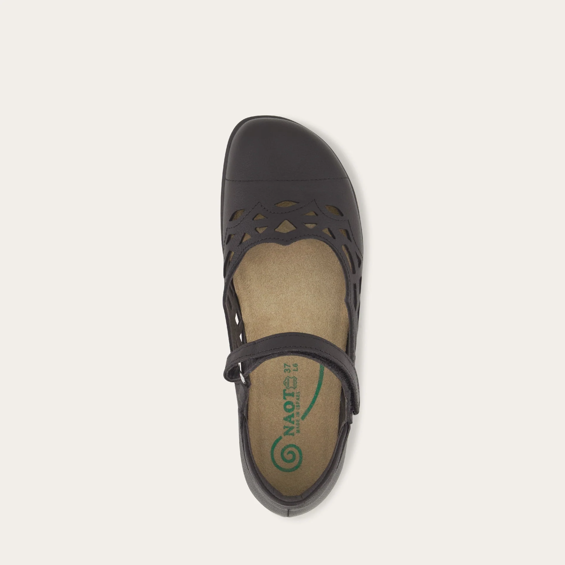 Agathis - Image 3