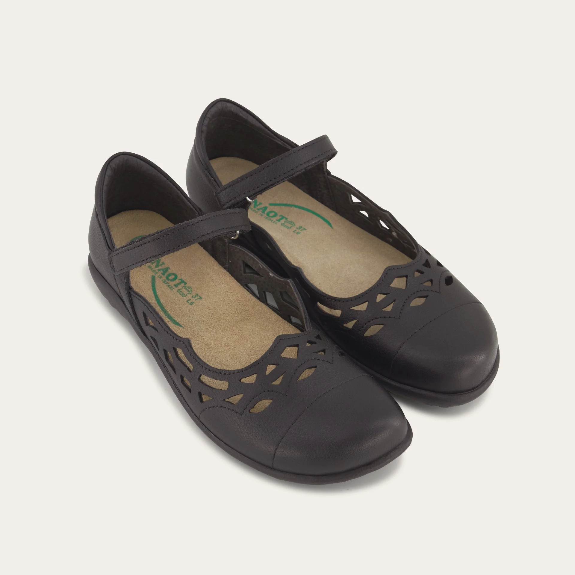 Agathis - Image 5