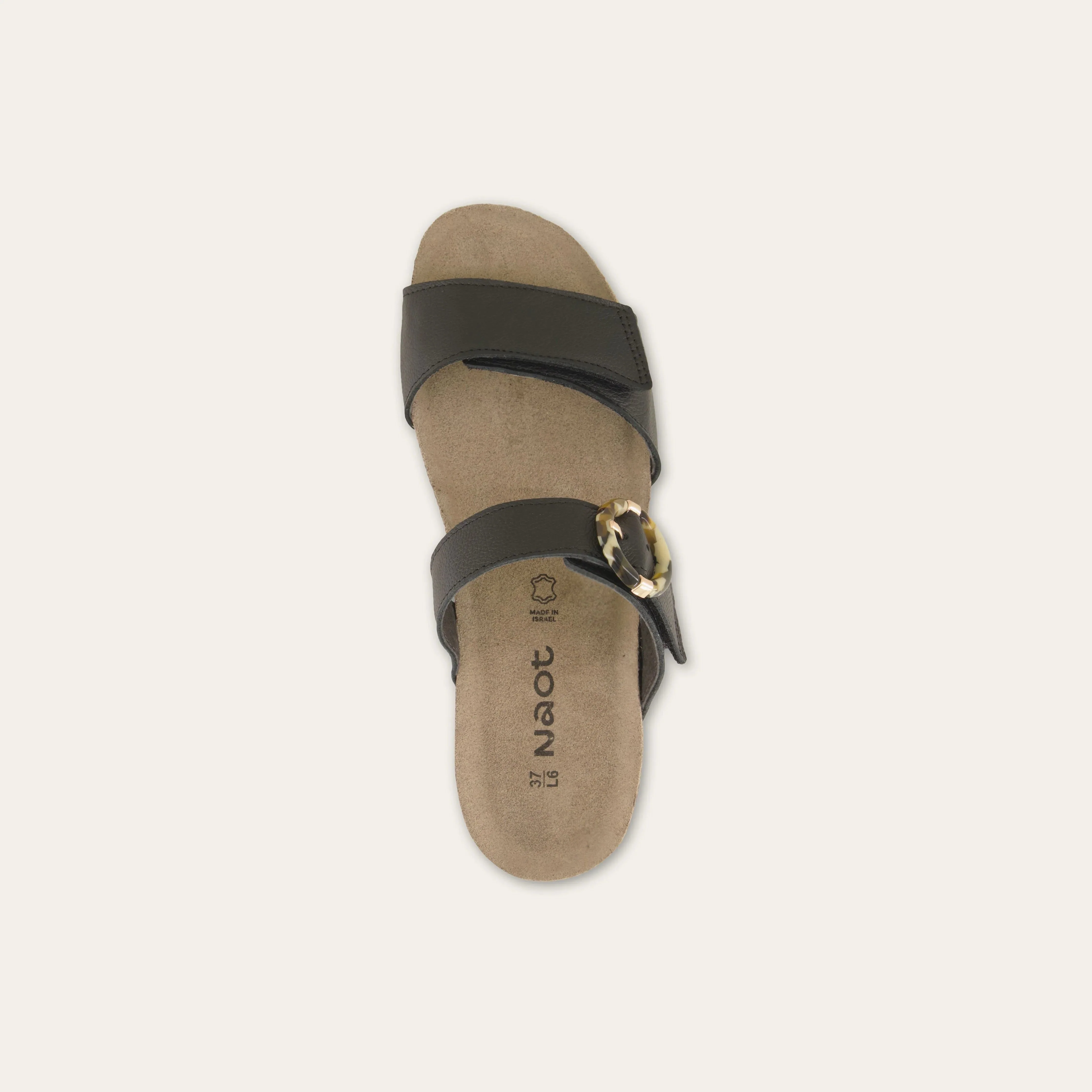 Anabel - Image 3