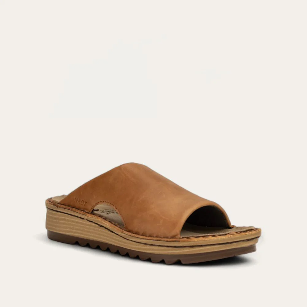 Ardisia - Image 2