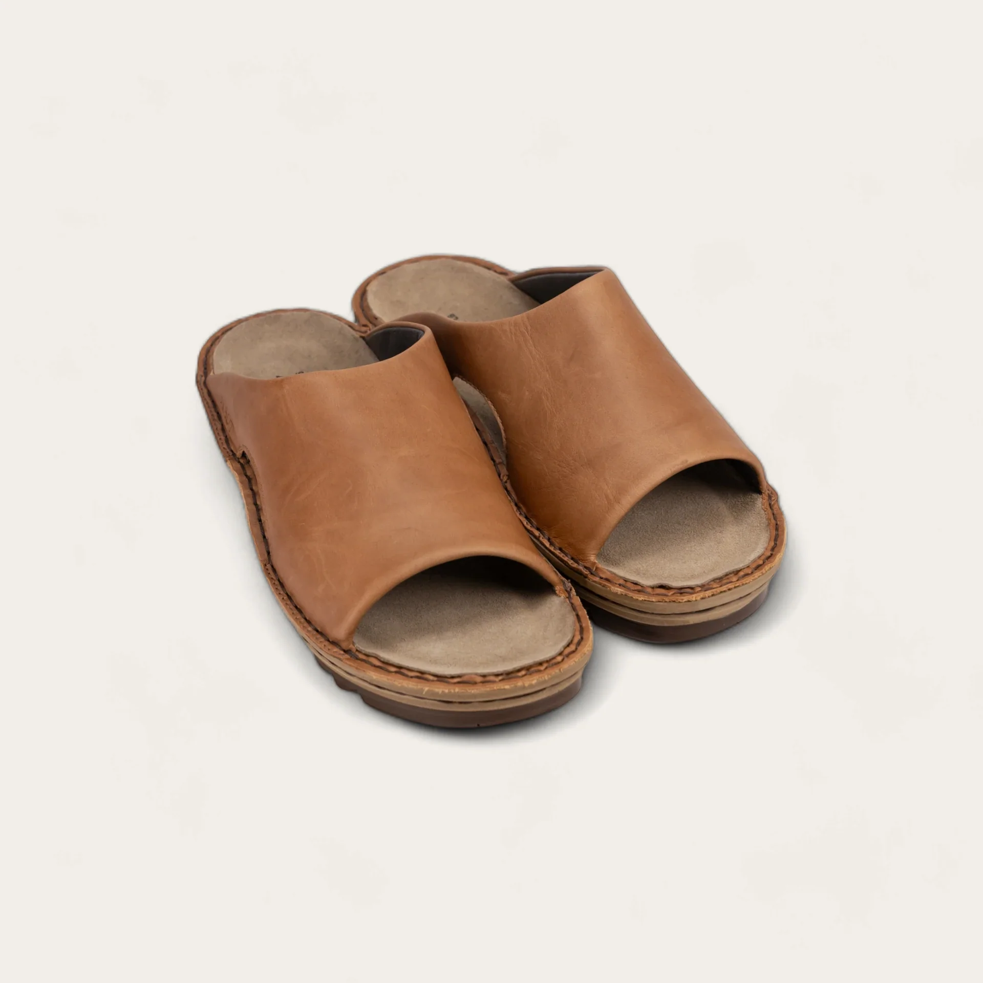Ardisia - Image 5