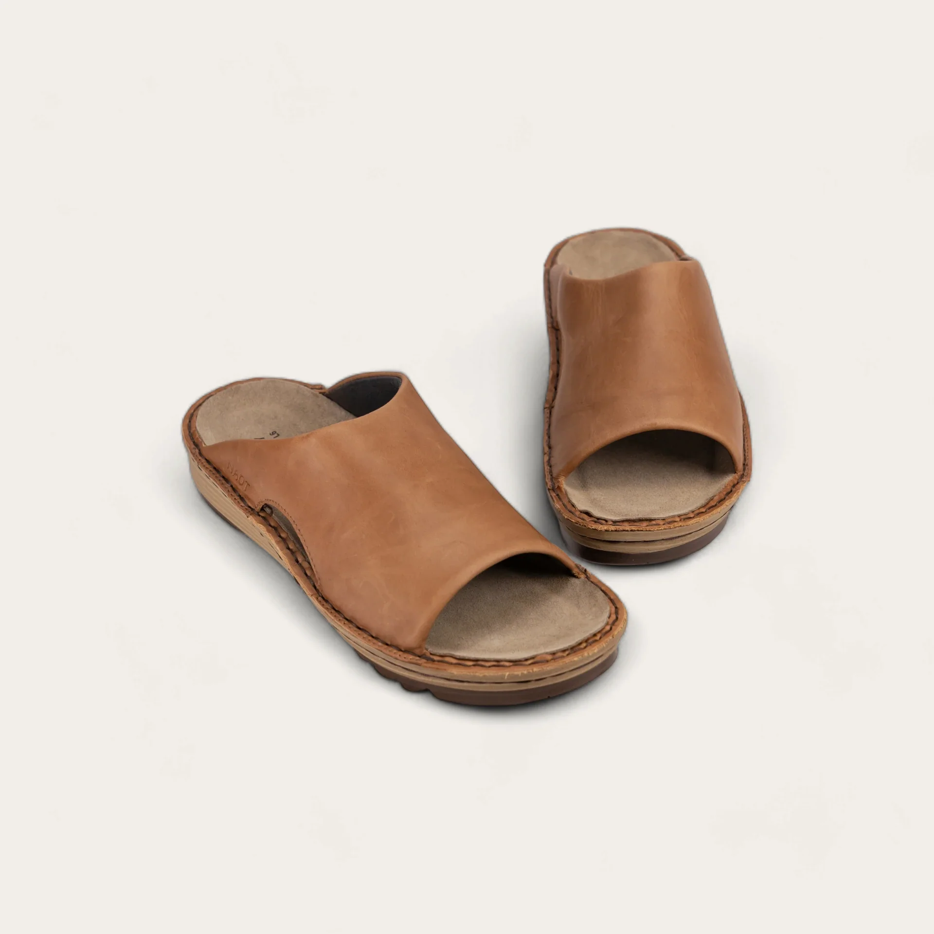 Ardisia - Image 6