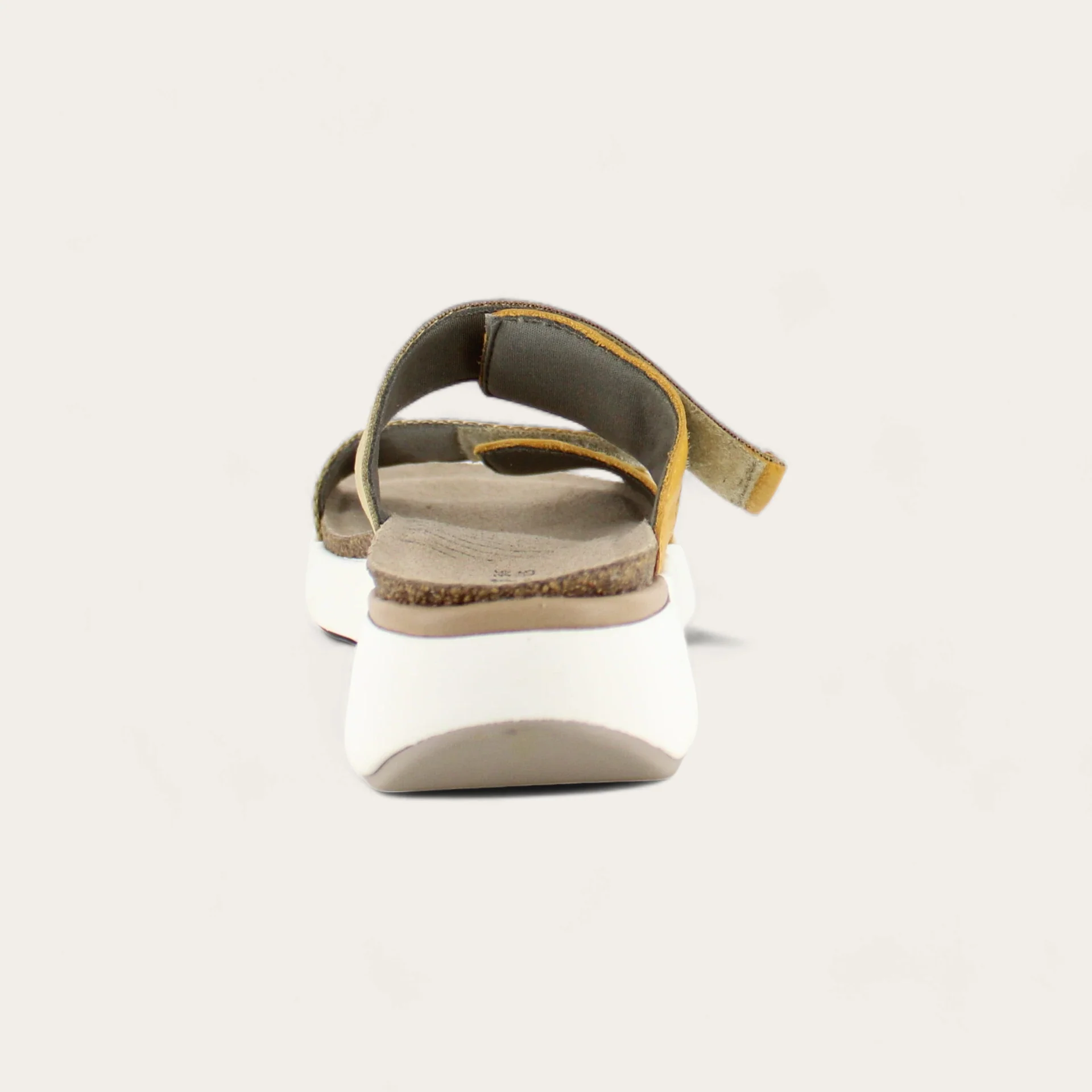 Calliope - Image 3