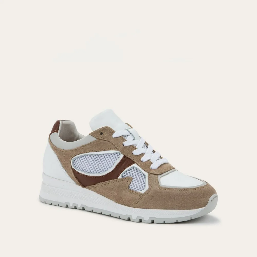 Collins - Image 2