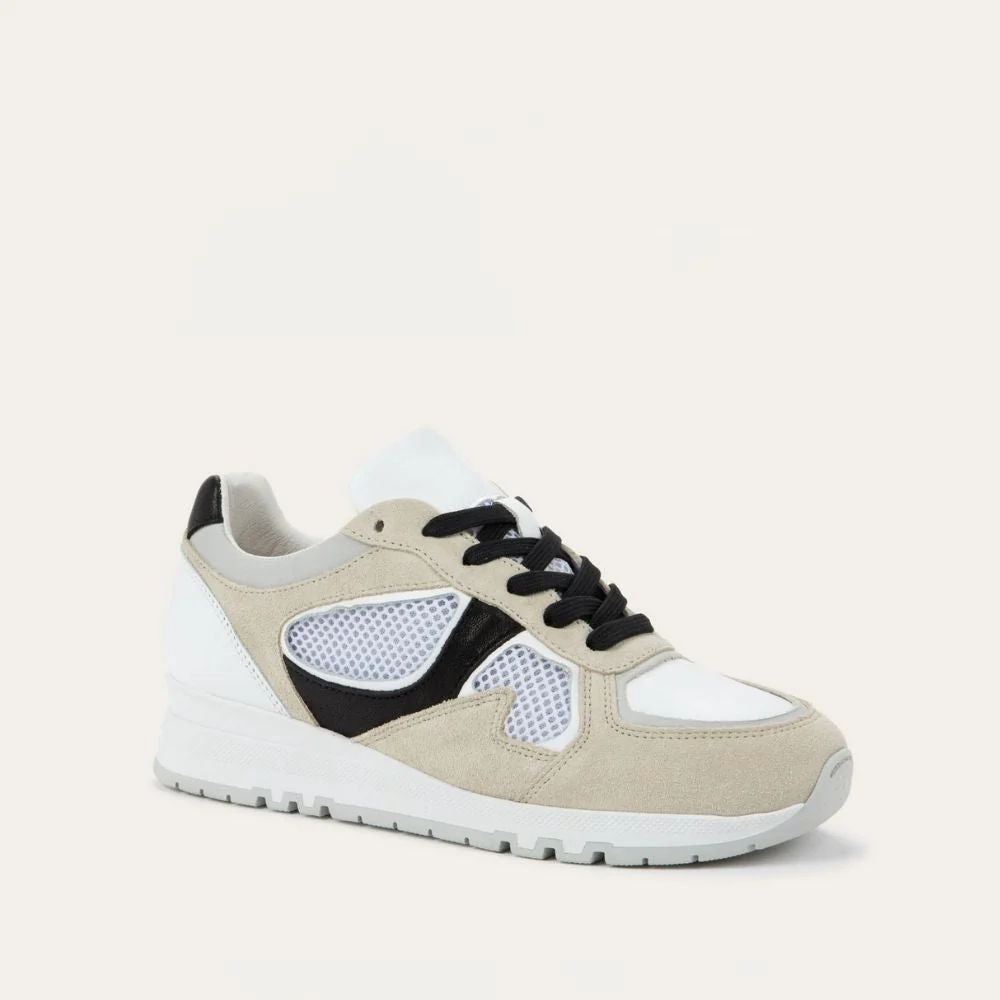 Collins - Image 2