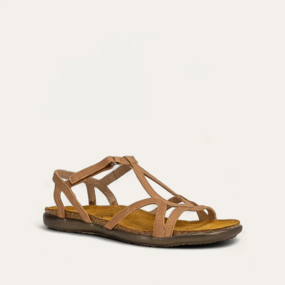 Dorith - Image 2