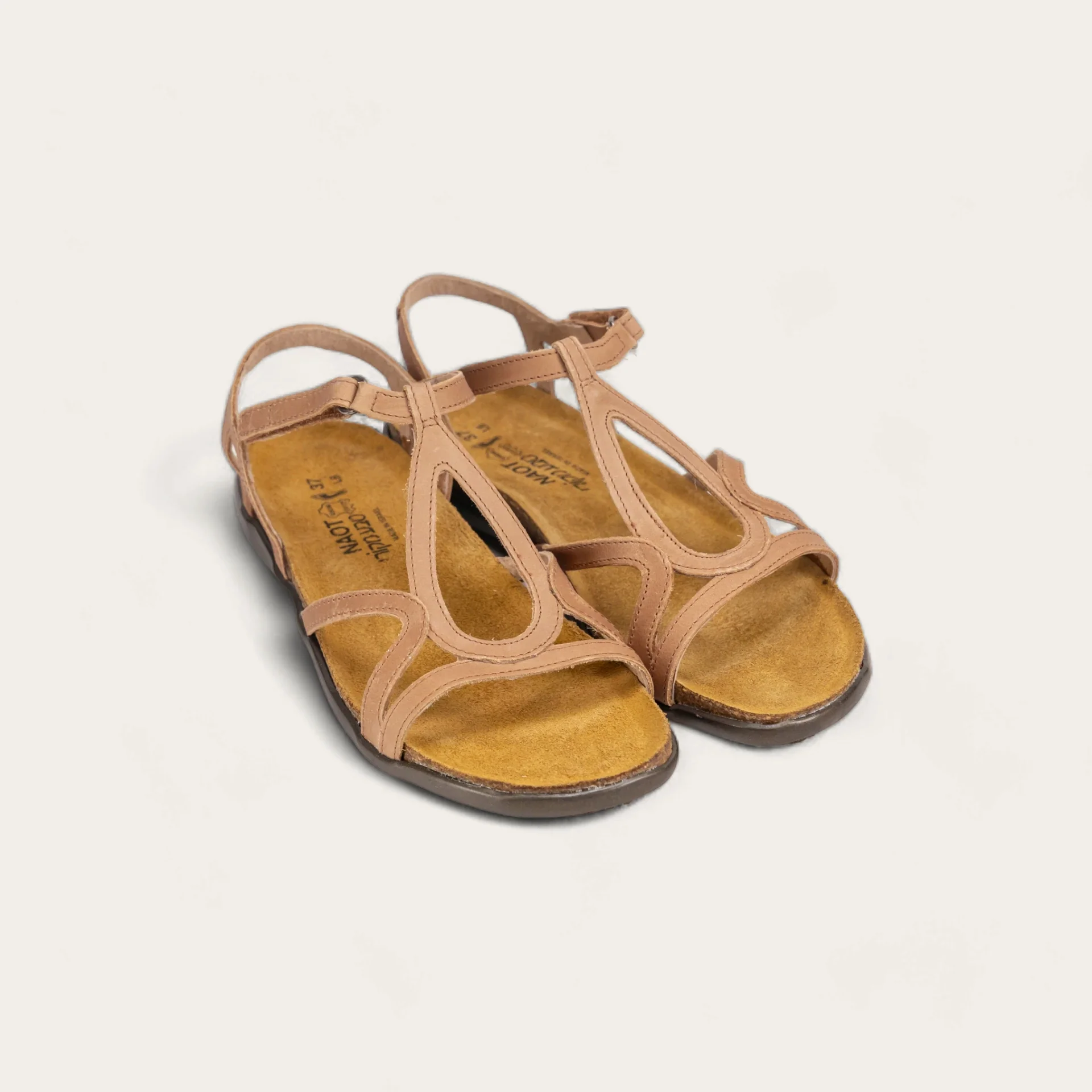 Dorith - Image 5
