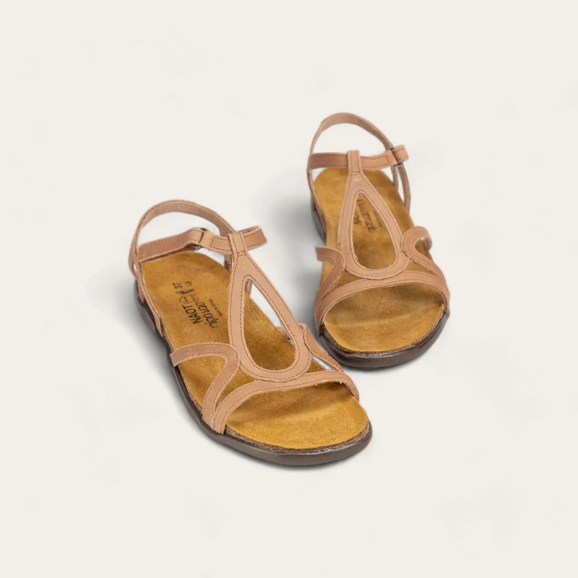 Dorith - Image 6