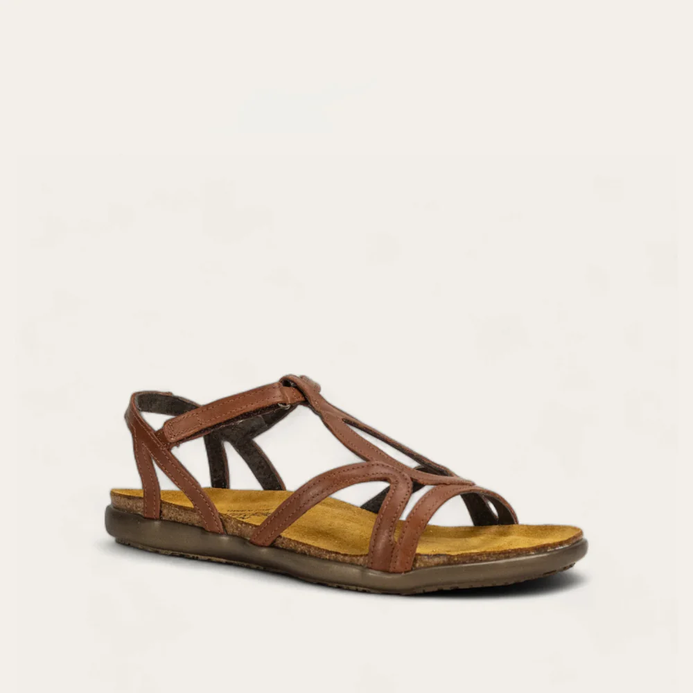 Dorith - Image 2