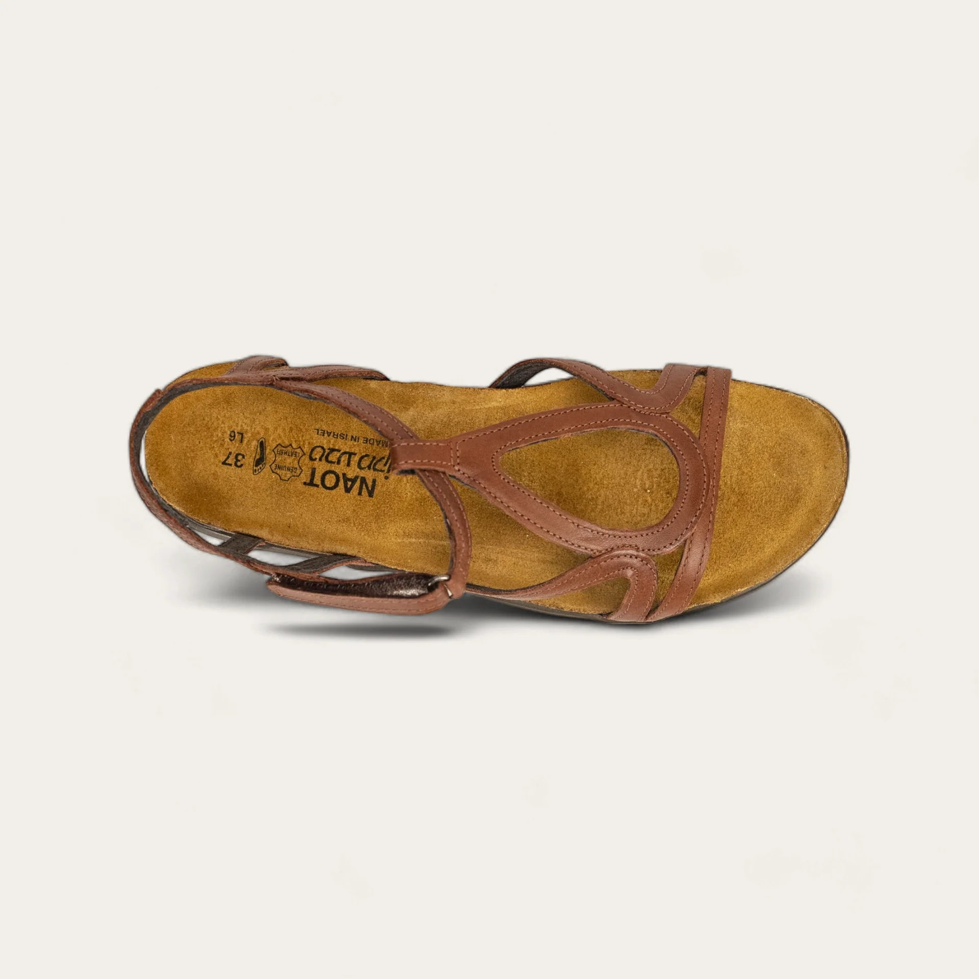 Dorith - Image 3