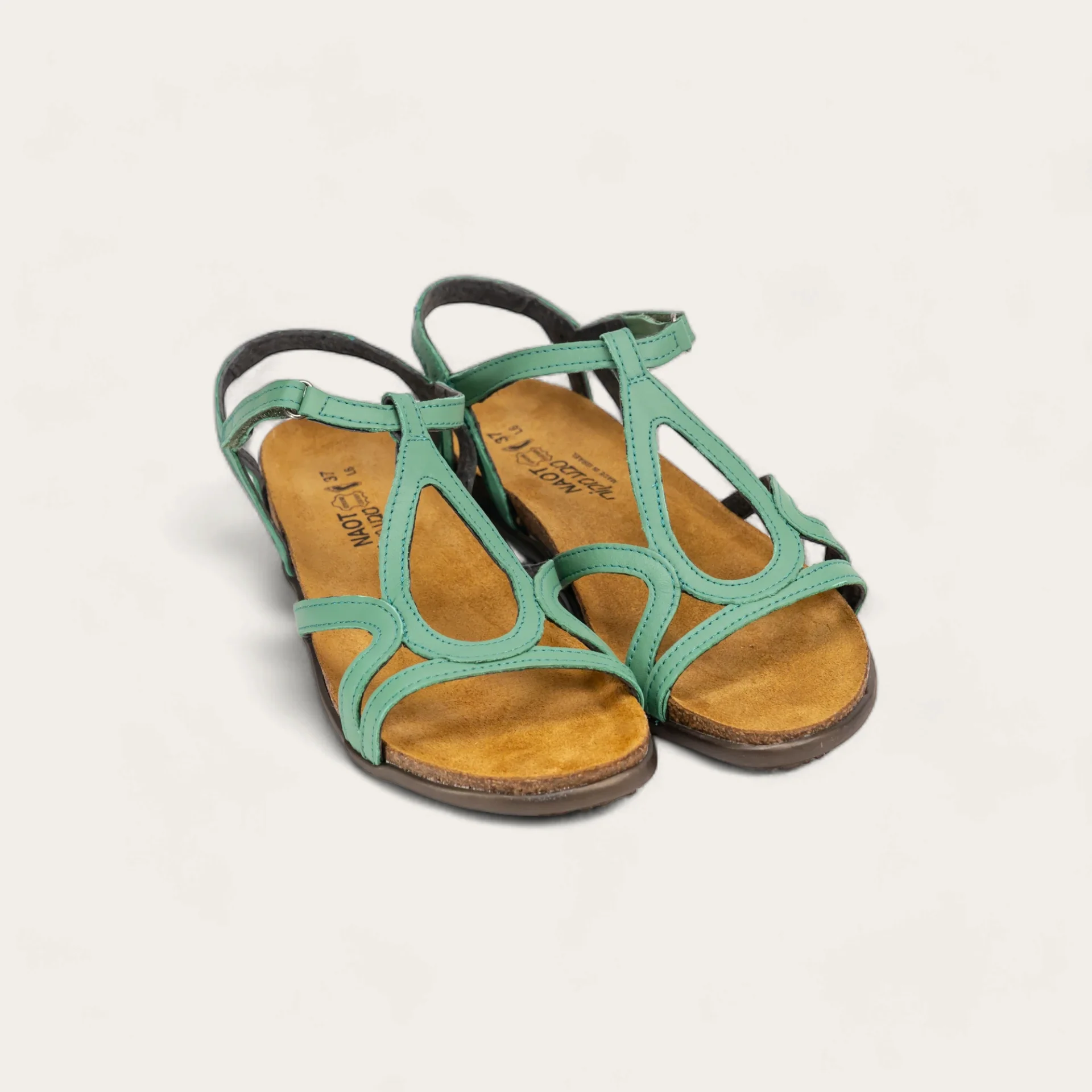Dorith - Image 5