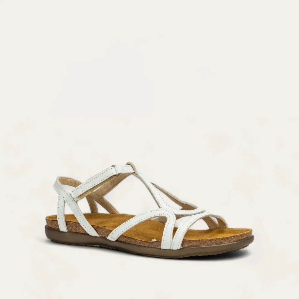 Dorith - Image 2