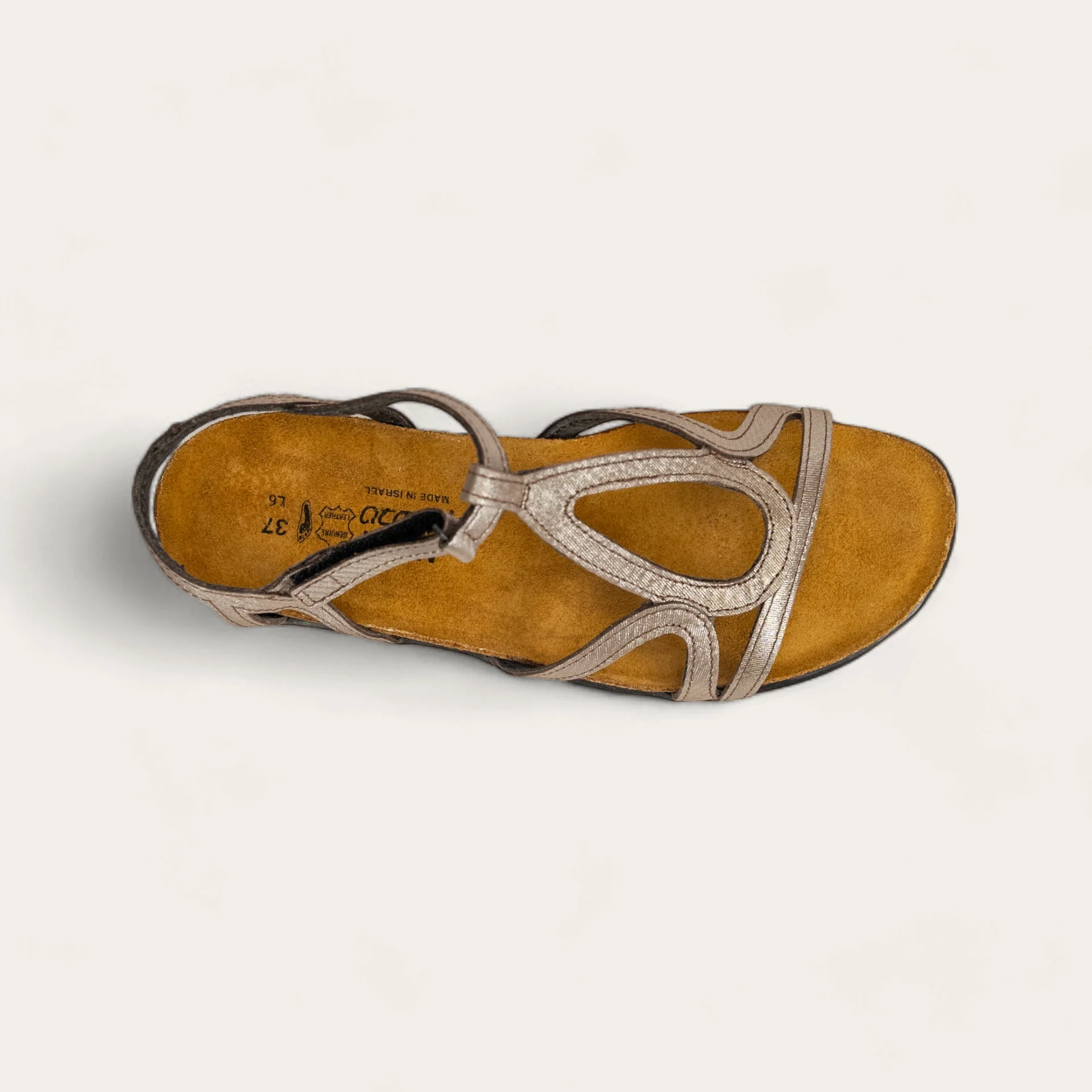 Dorith - Image 3