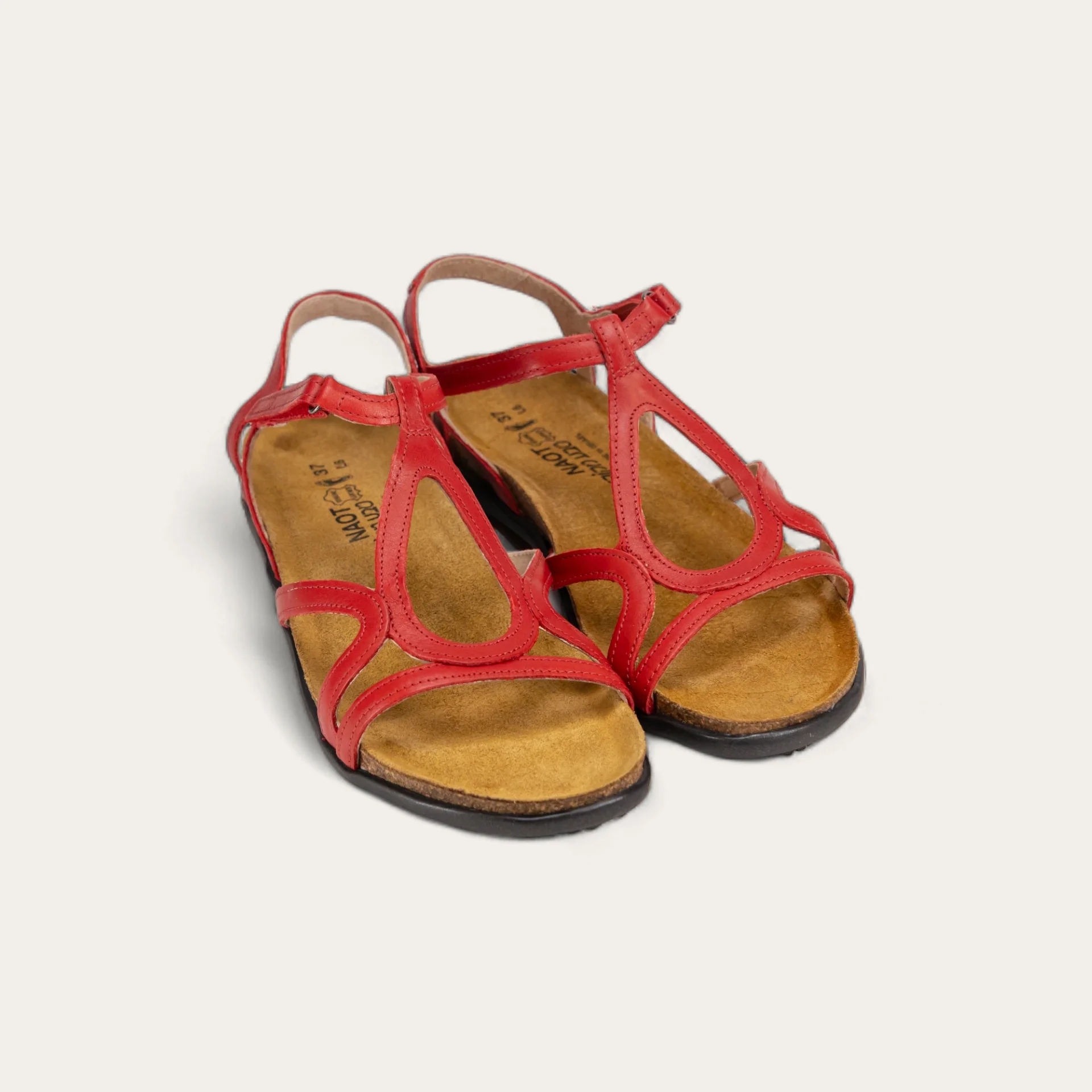 Dorith - Image 5