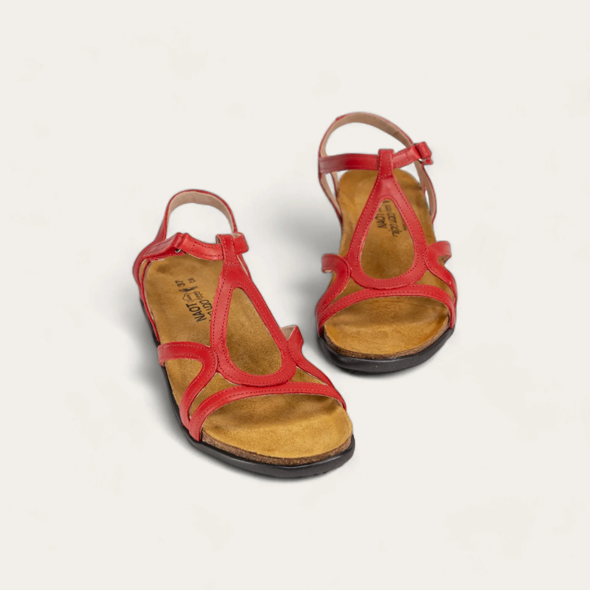 Dorith - Image 6