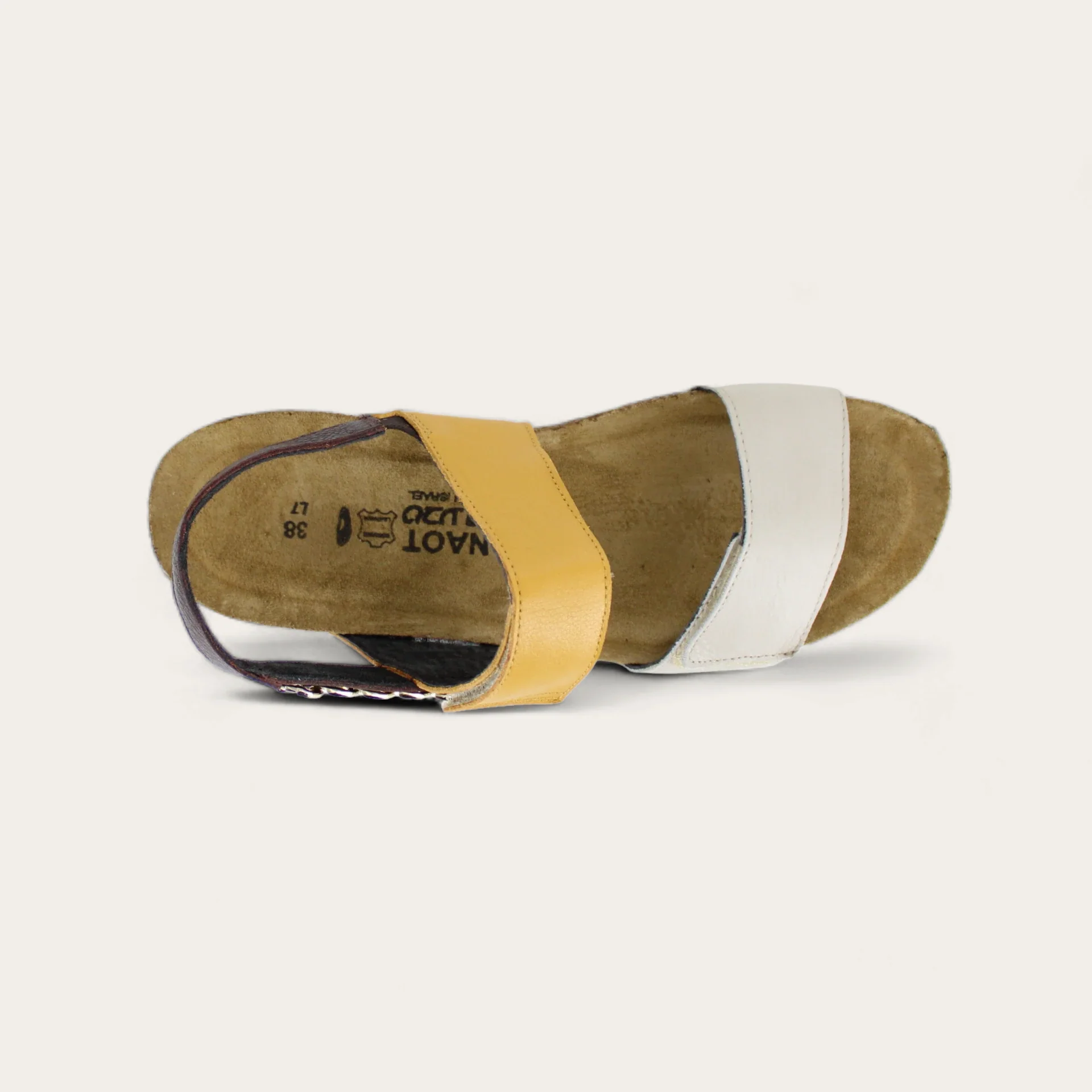 Eliana - Image 5