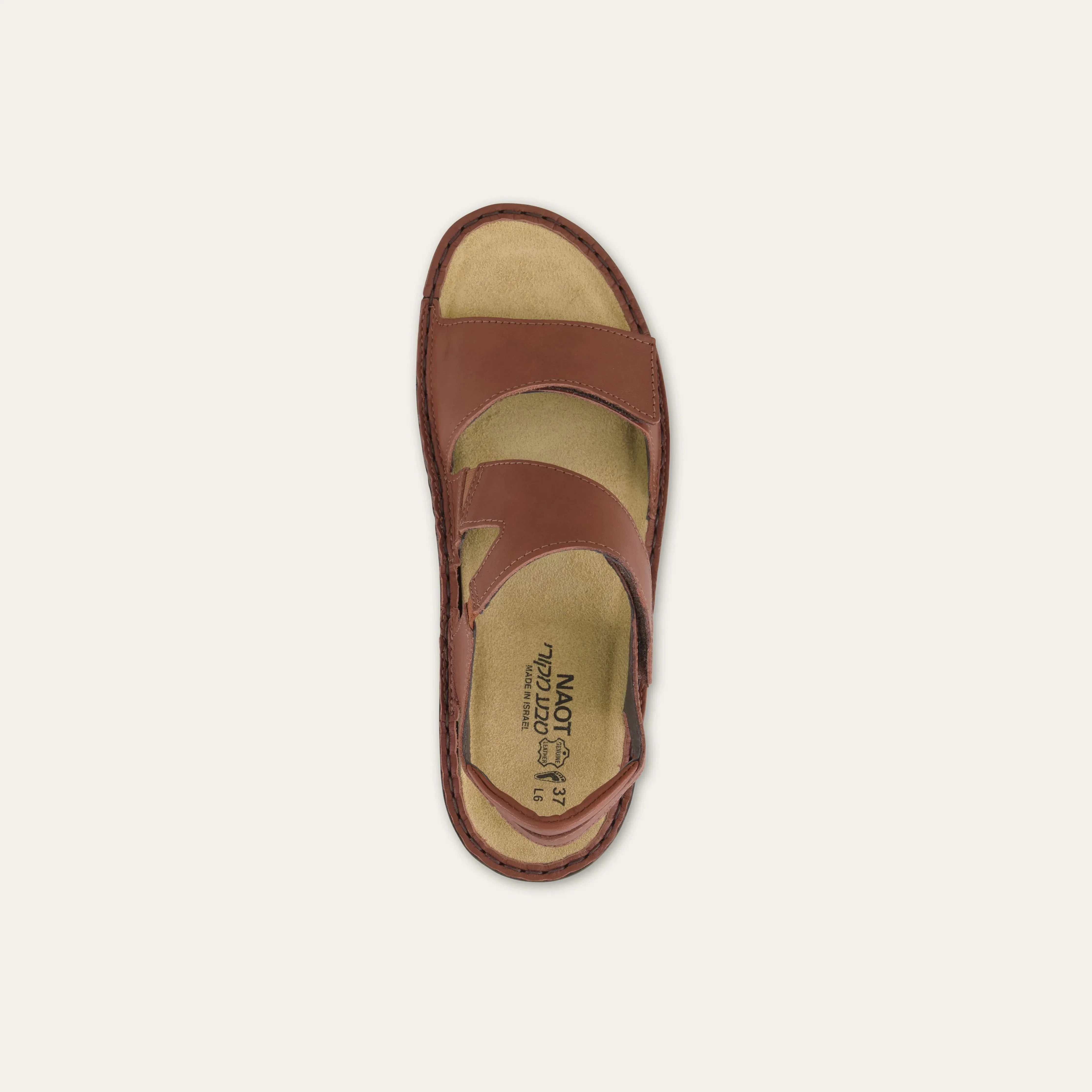 Enid - Image 3