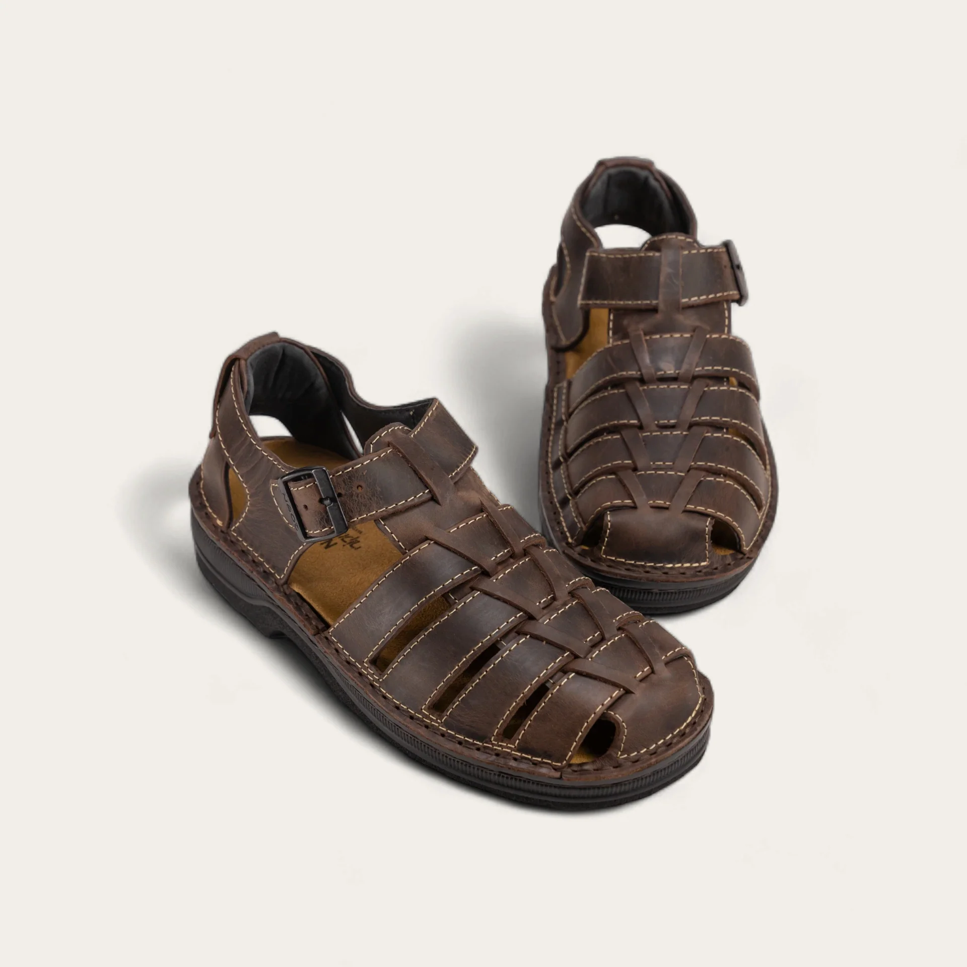 Julius - Image 6