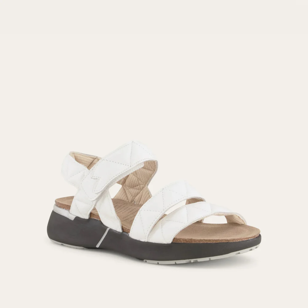 Kayla Sport - Image 2