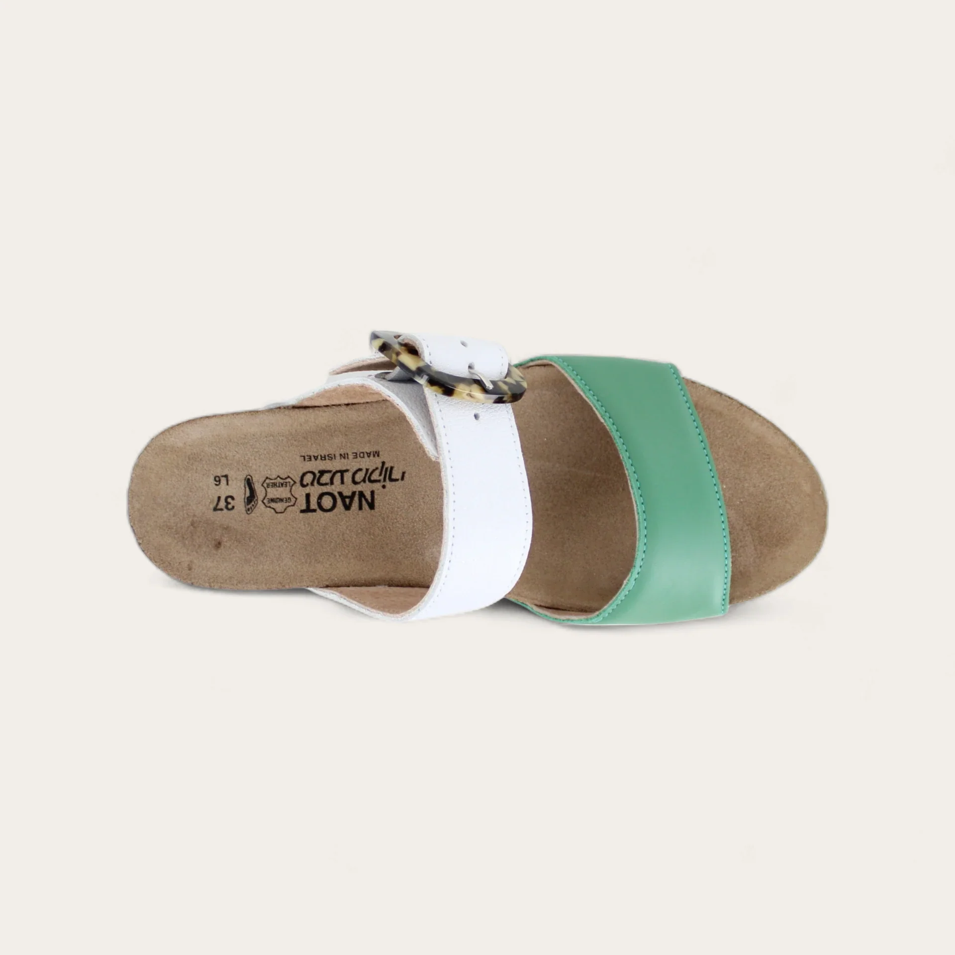 Kingdom - Image 5