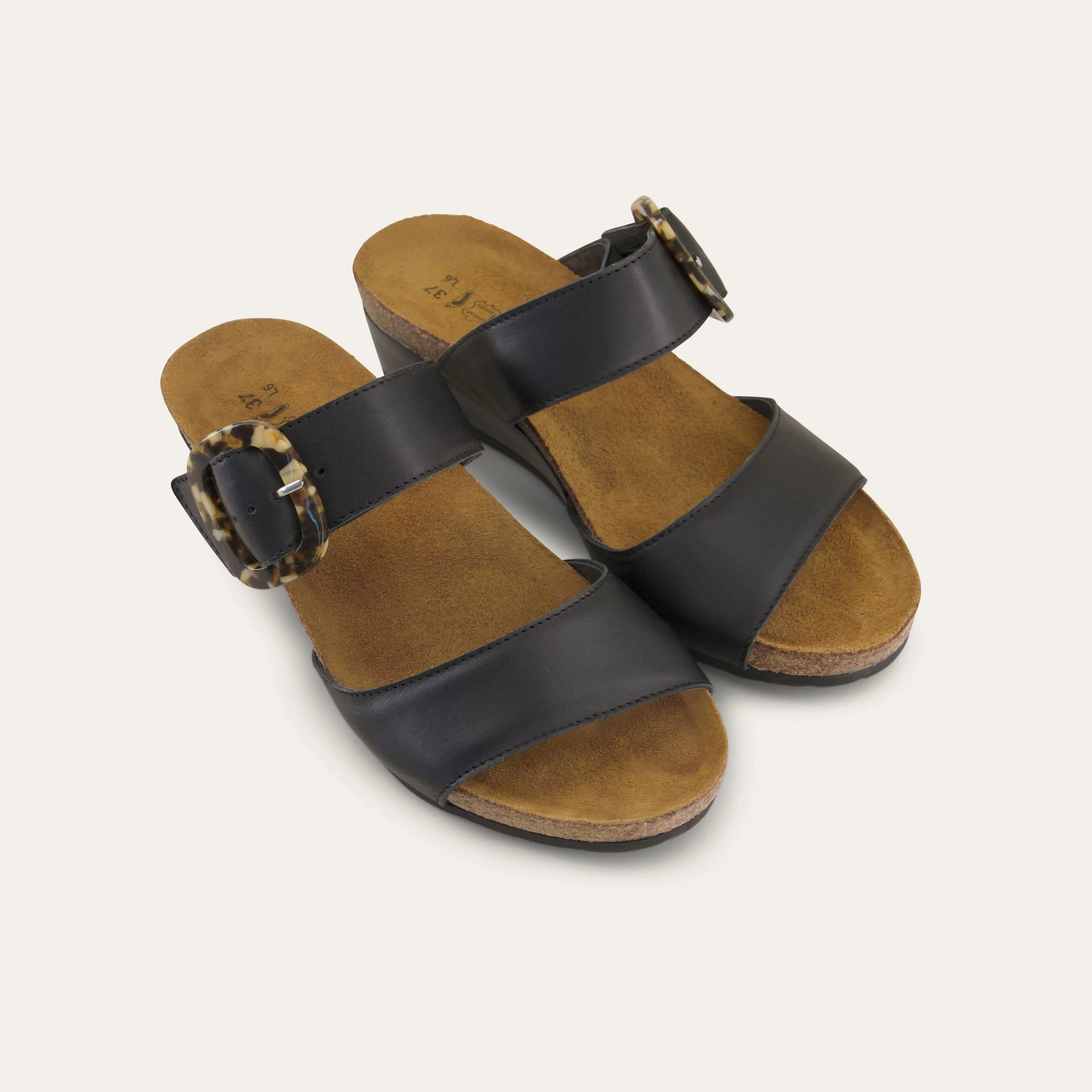 Kingdom - Image 5
