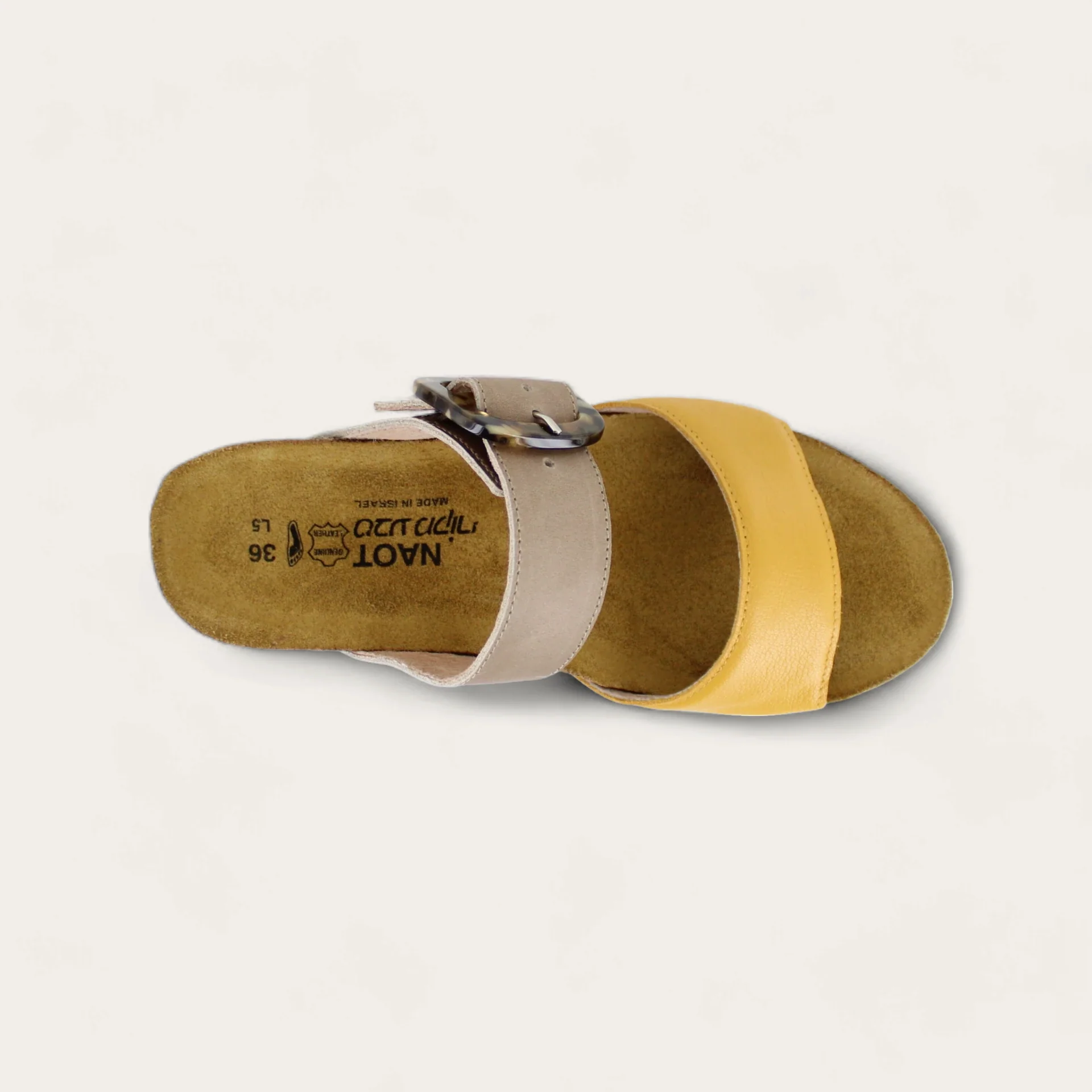 Kingdom - Image 5
