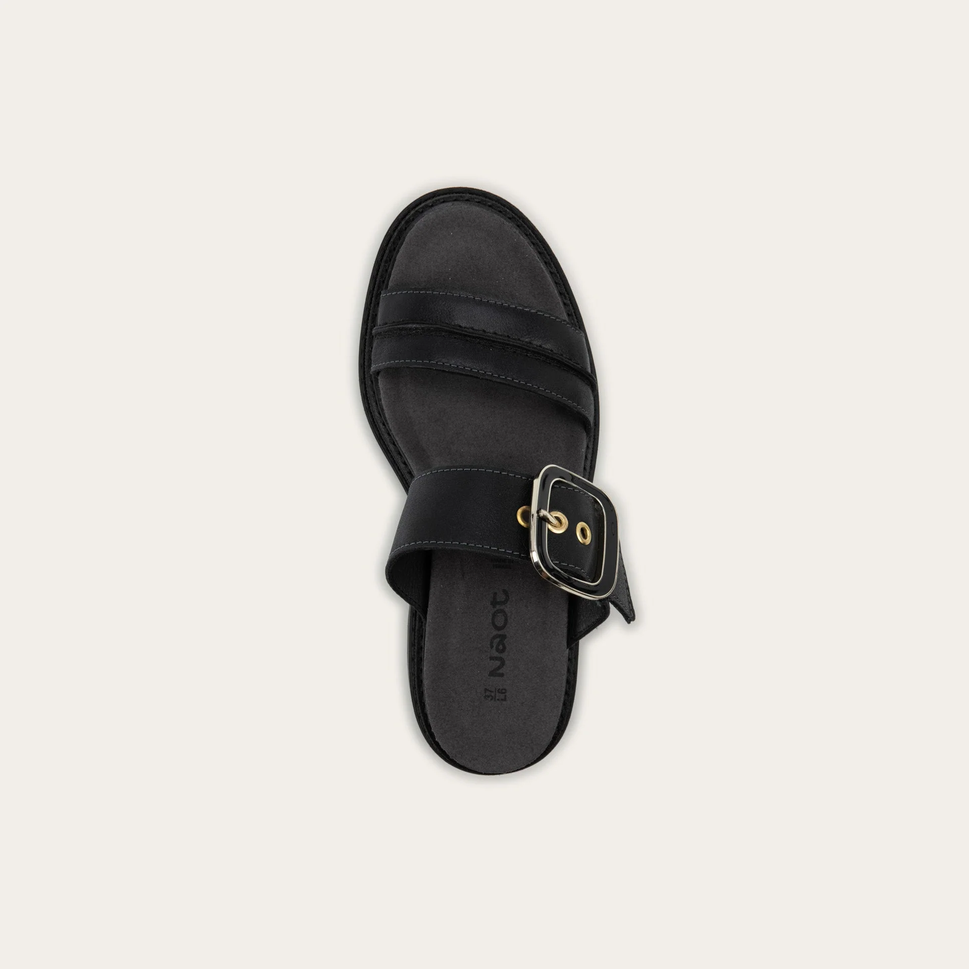 Mulberry - Image 3