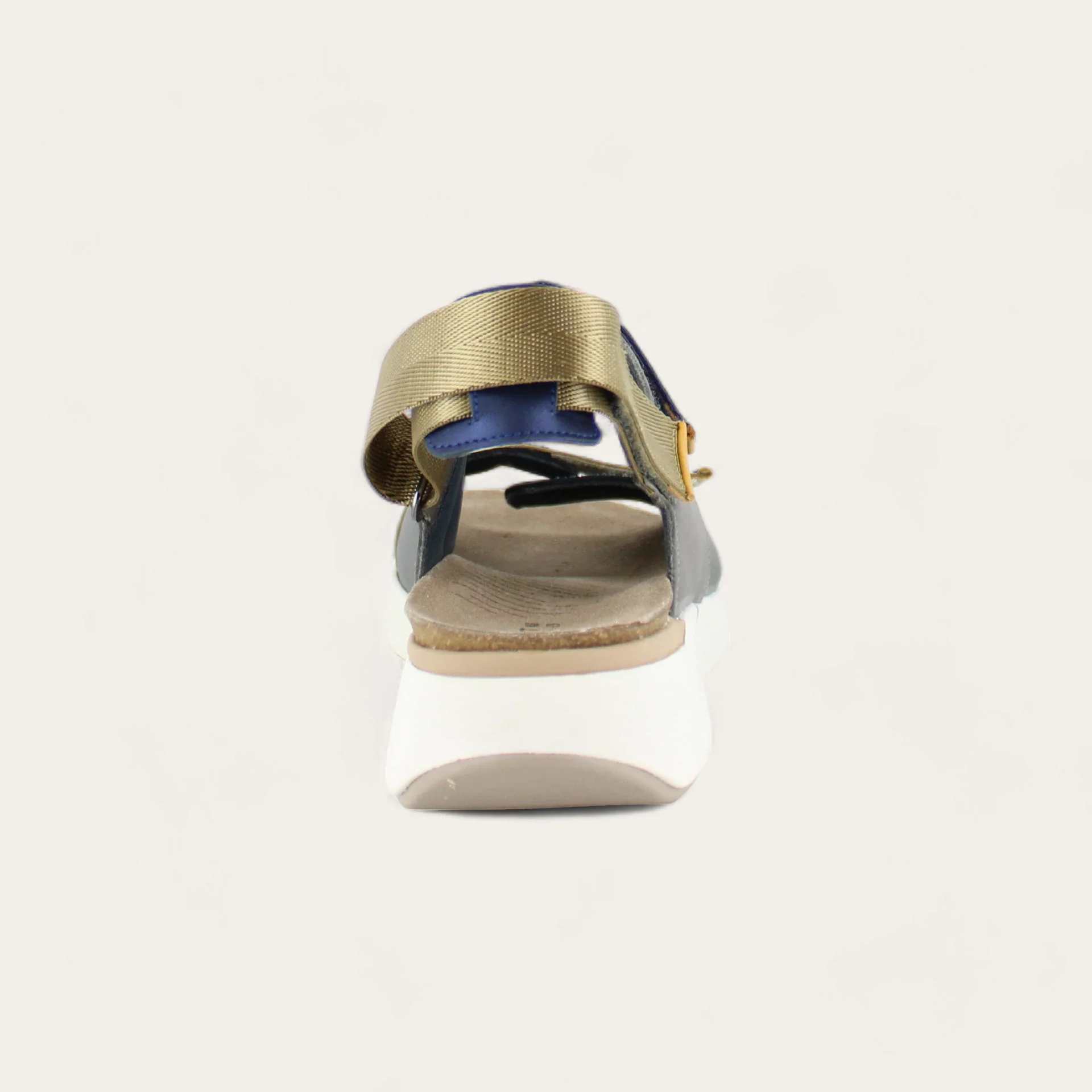 Odyssey - Image 3