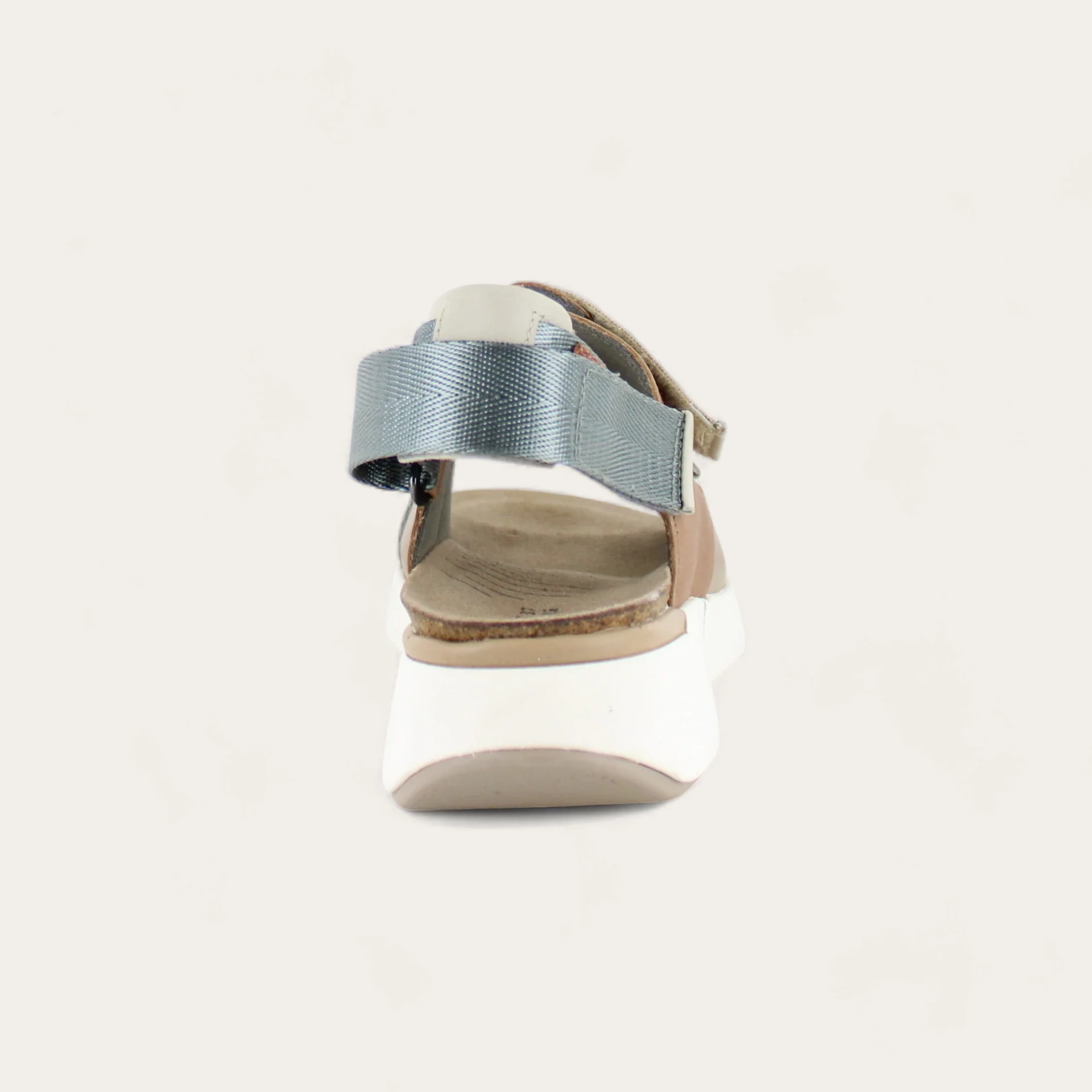 Odyssey - Image 3