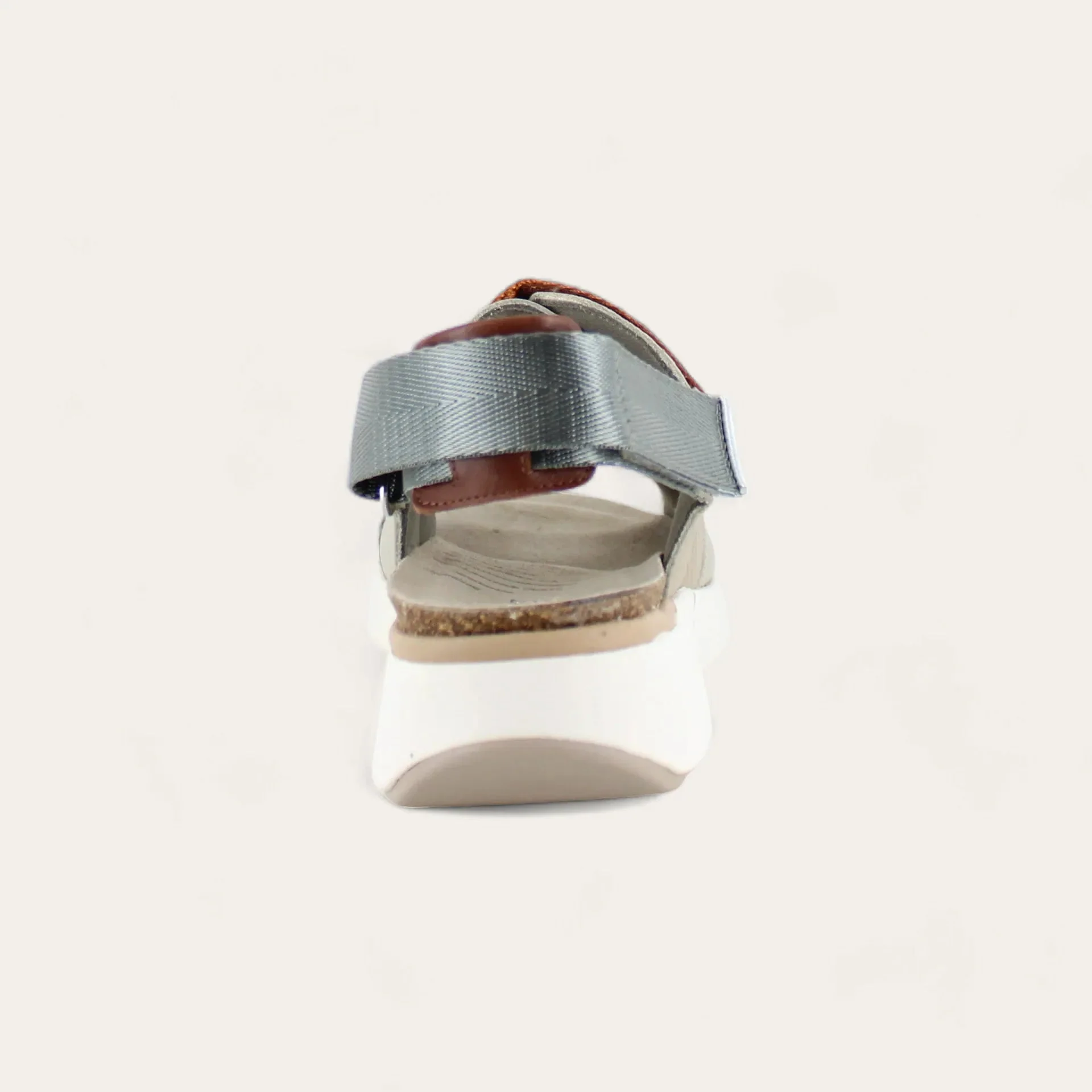 Odyssey - Image 3