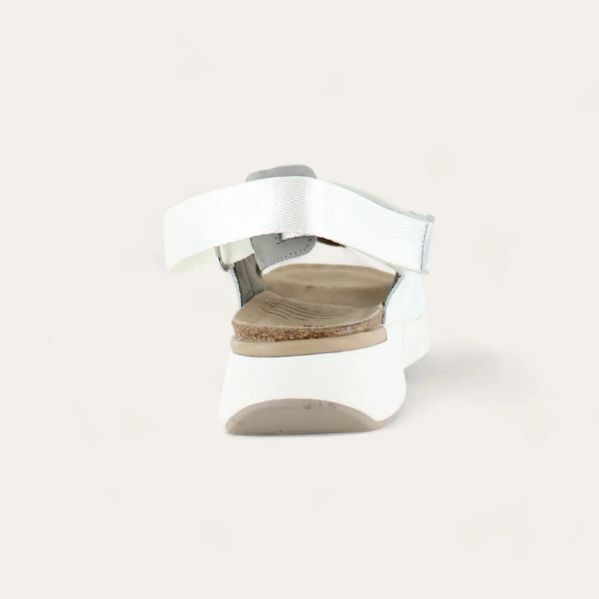 Odyssey - Image 3