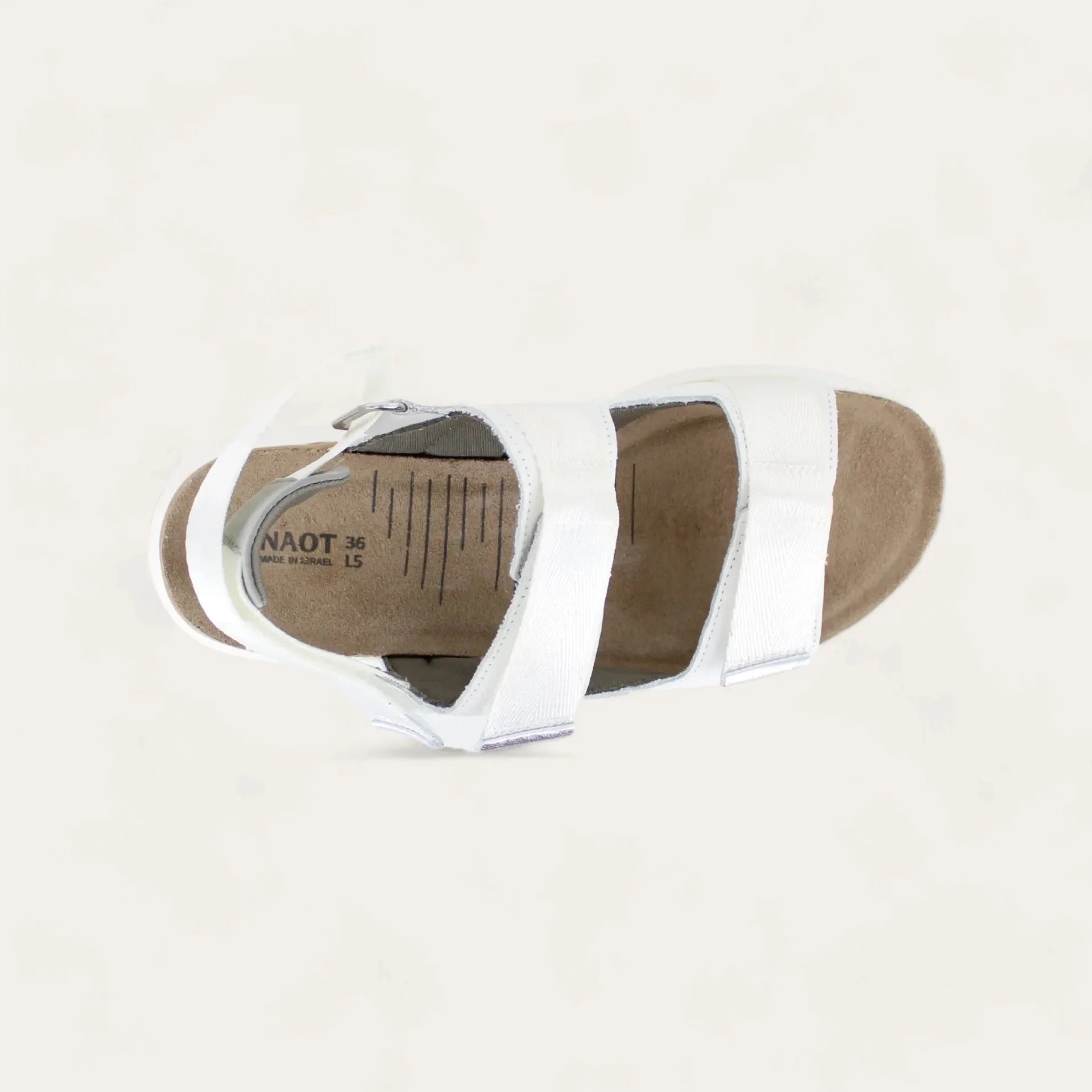 Odyssey - Image 5