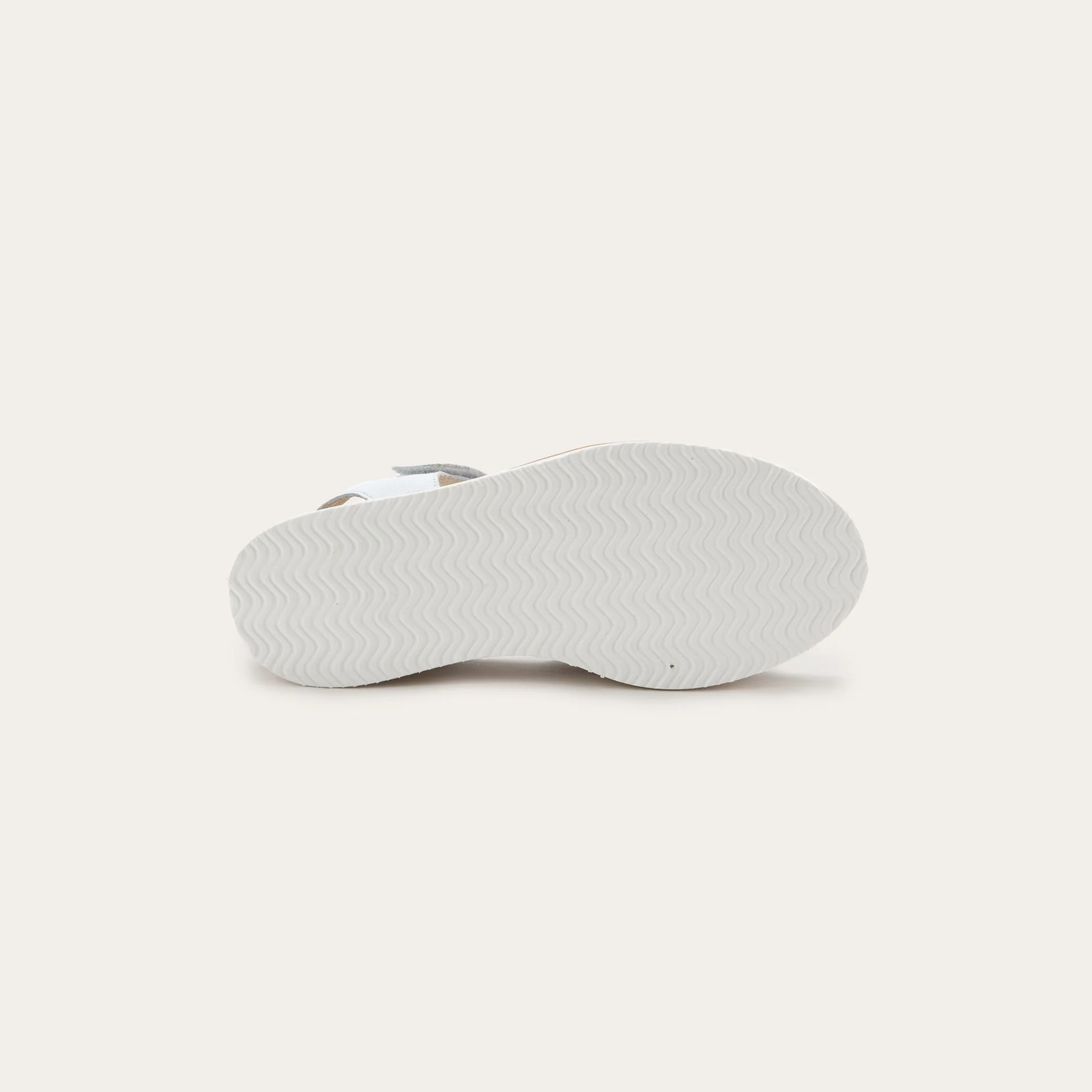 Pavlova - Image 4