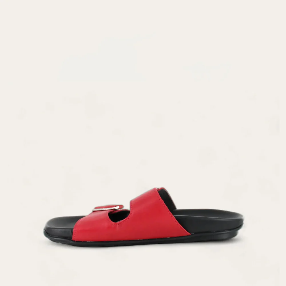 Santo - Image 2