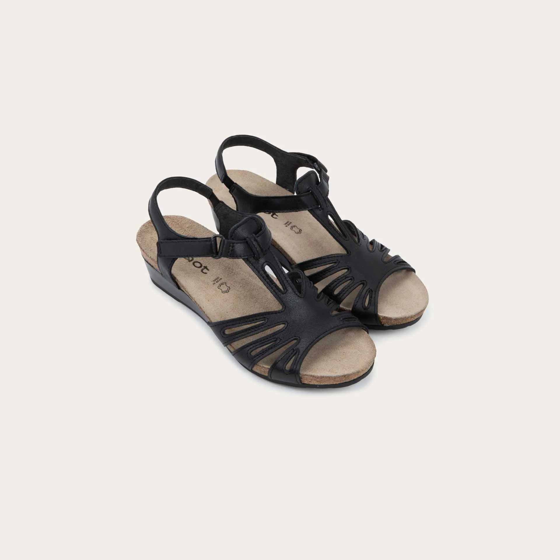 Starlet - Image 5
