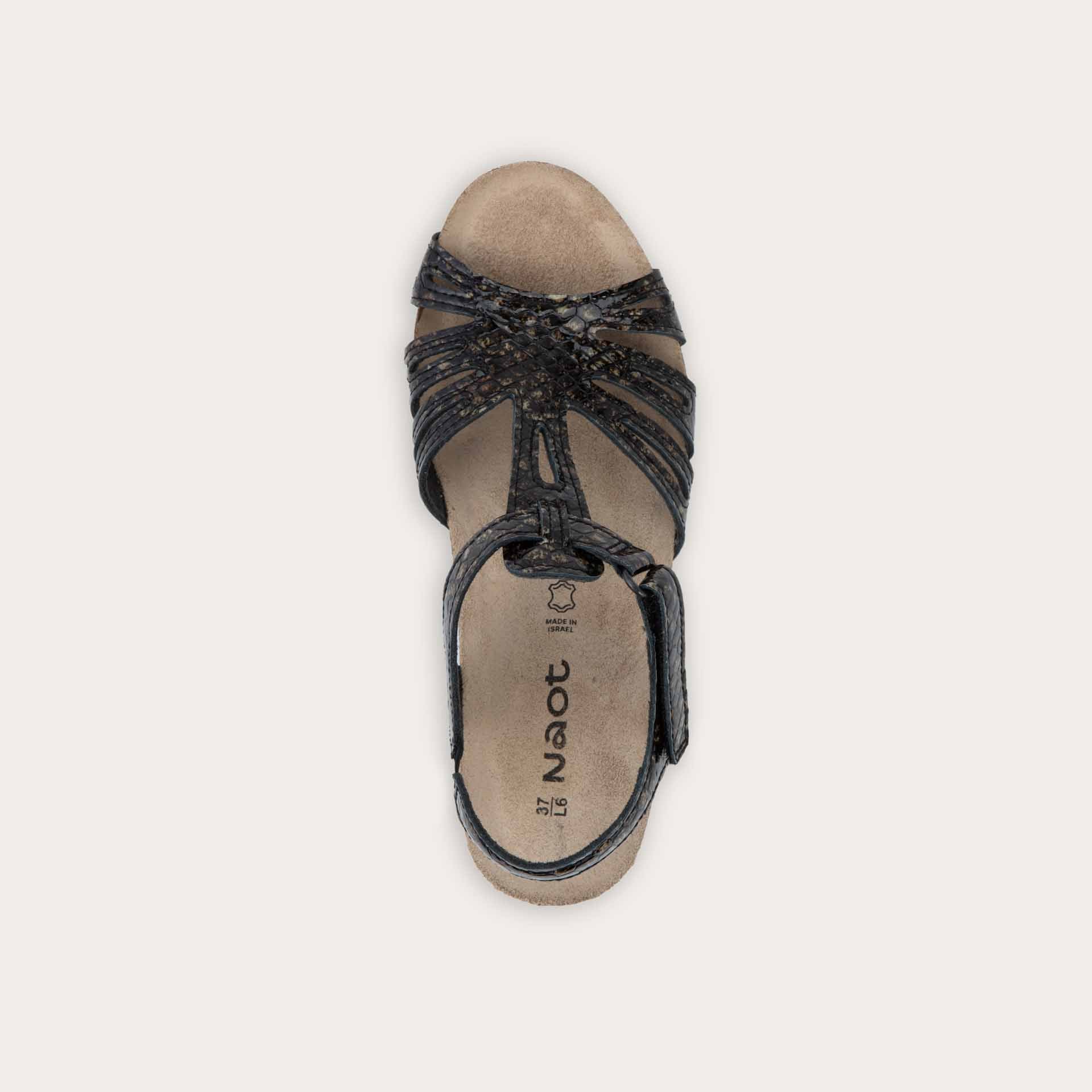 Starlet - Image 3