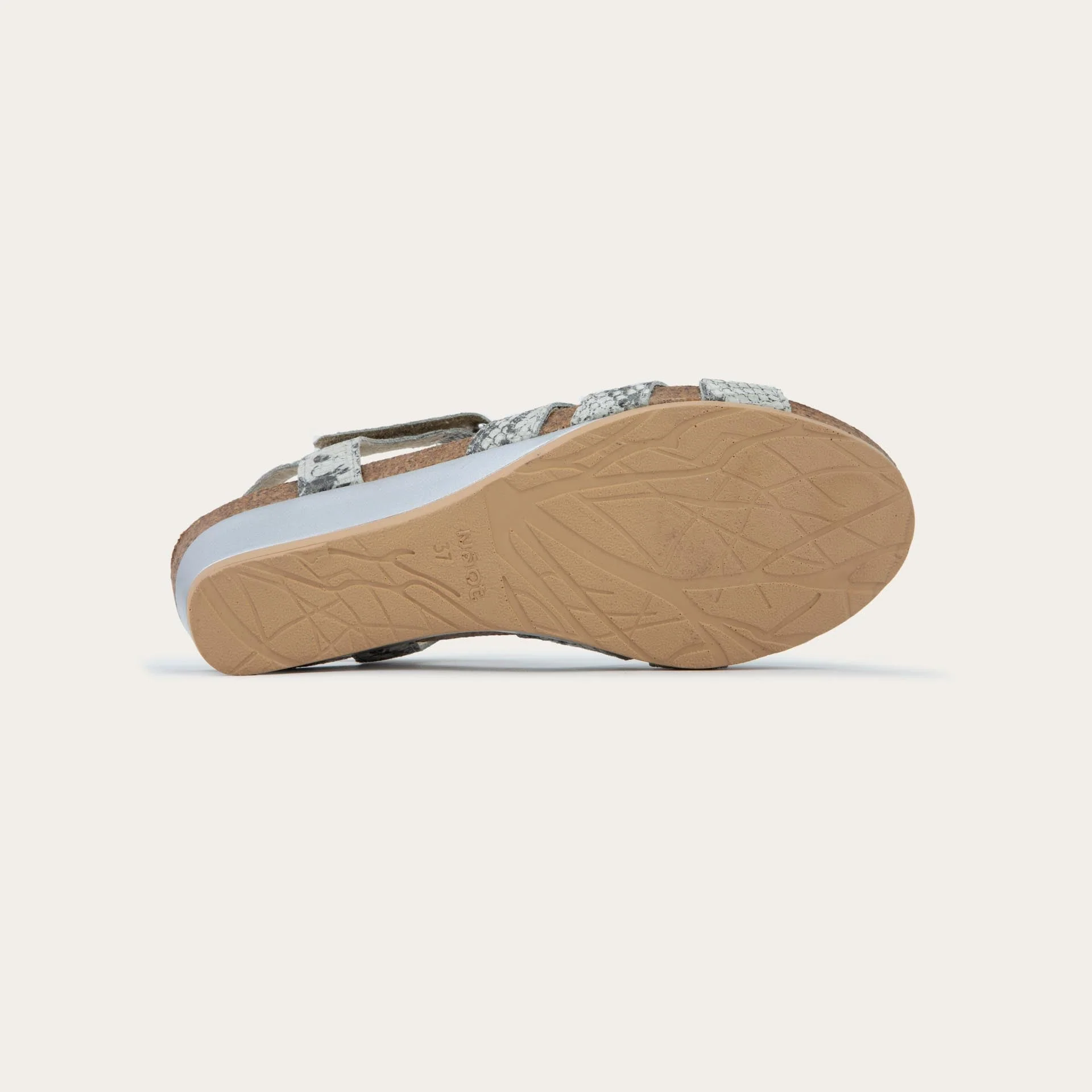 Starlet - Image 4
