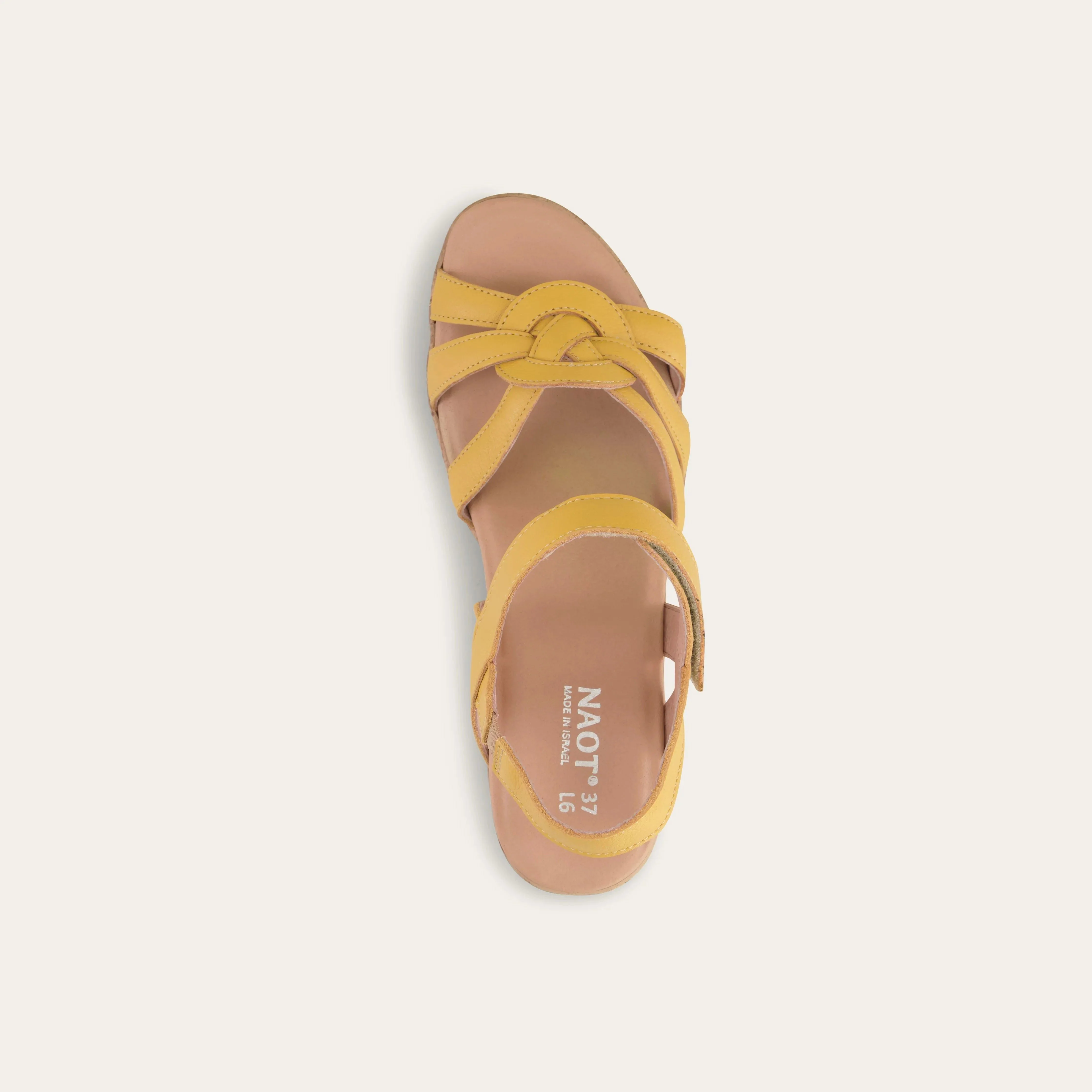 Tropical - Image 3