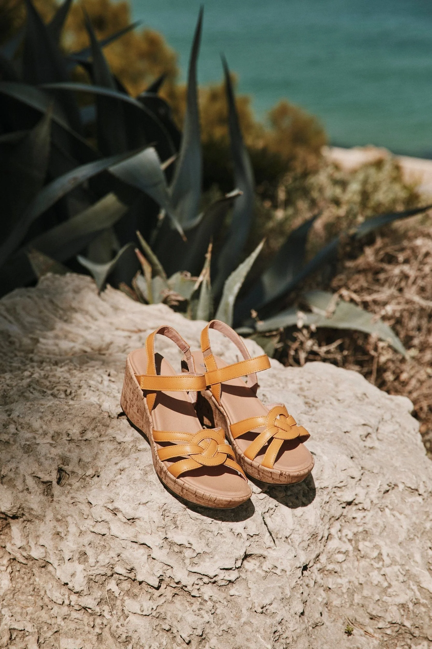 Tropical - Image 5