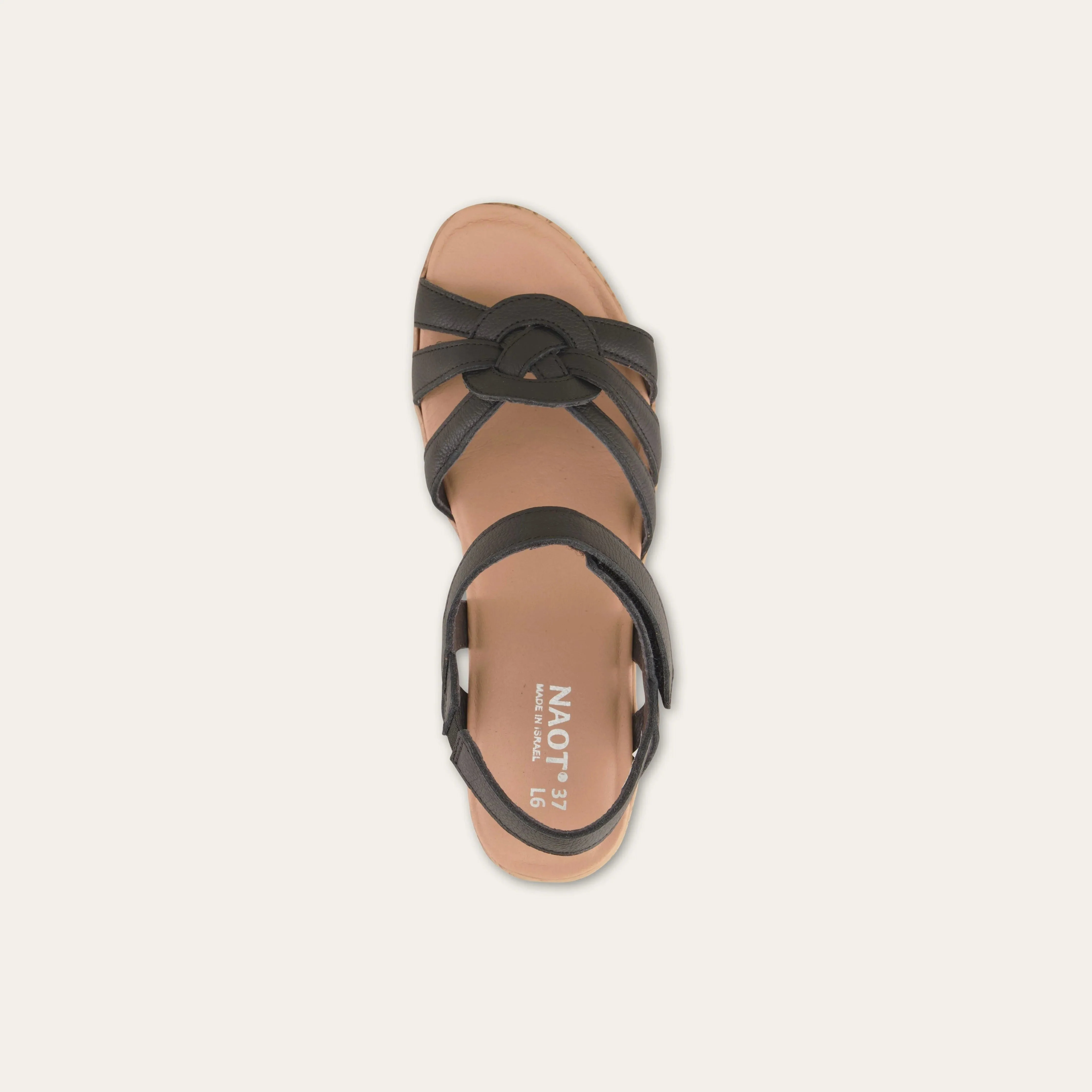 Tropical - Image 3